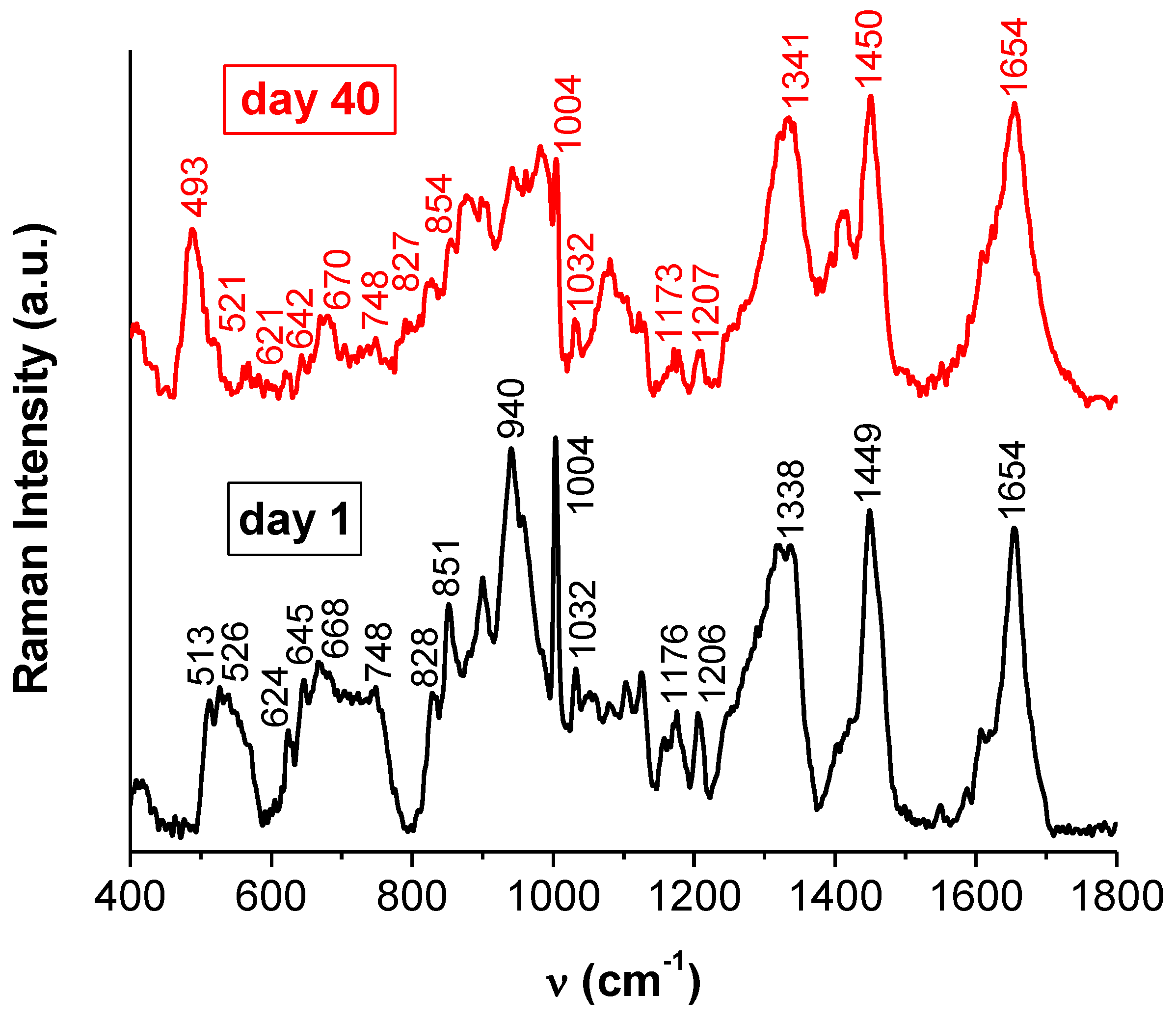 Molecules 24 03395 g005