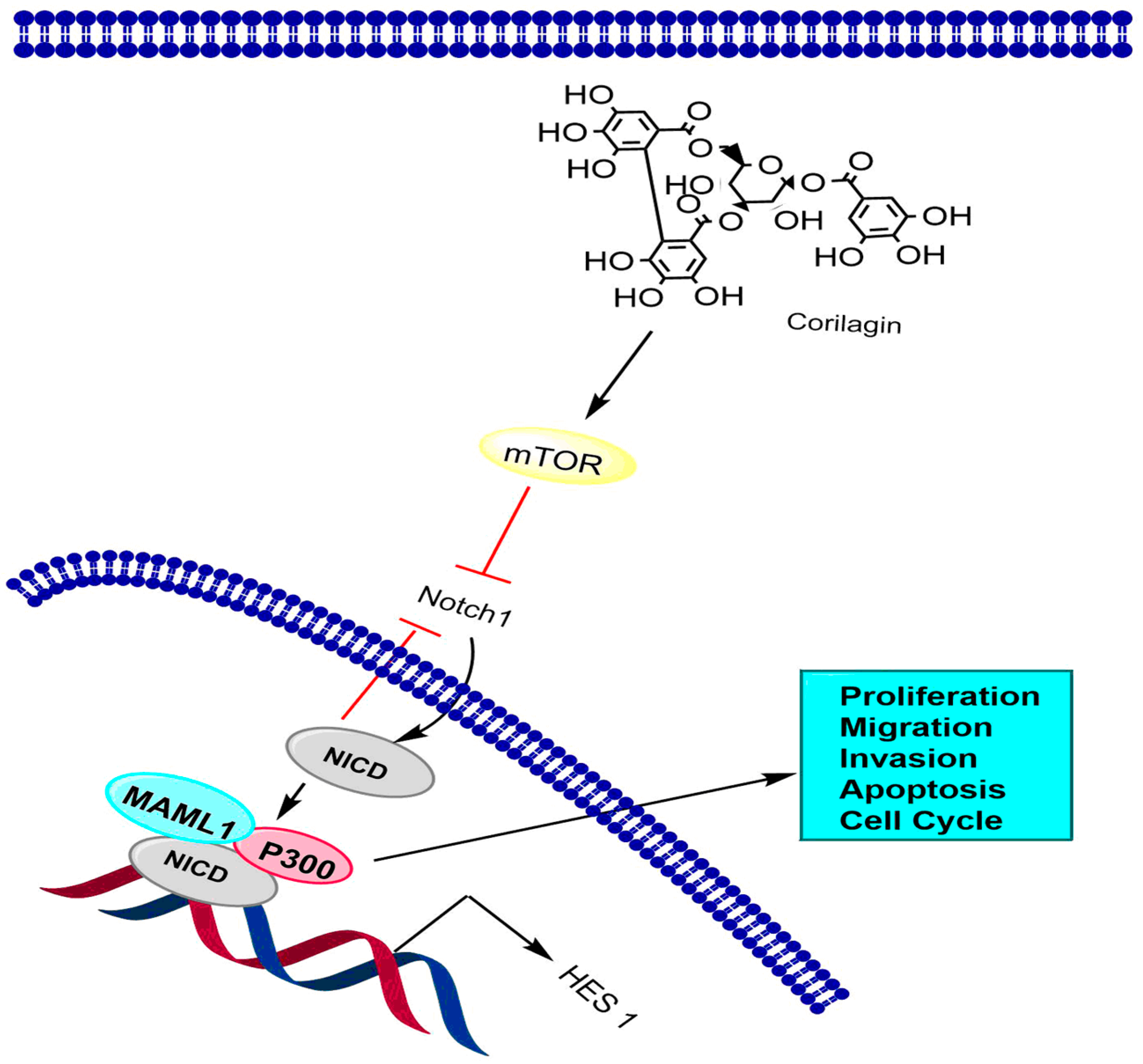 Molecules 24 03399 g003