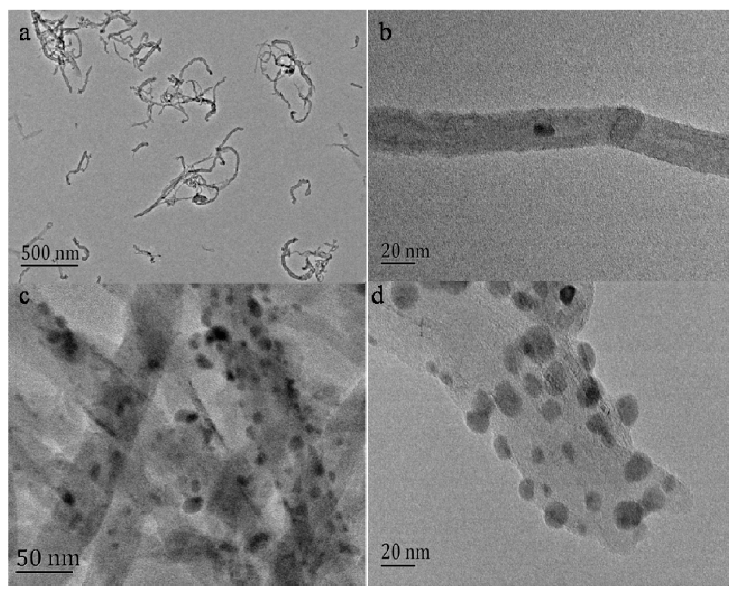 Molecules 24 03411 g001