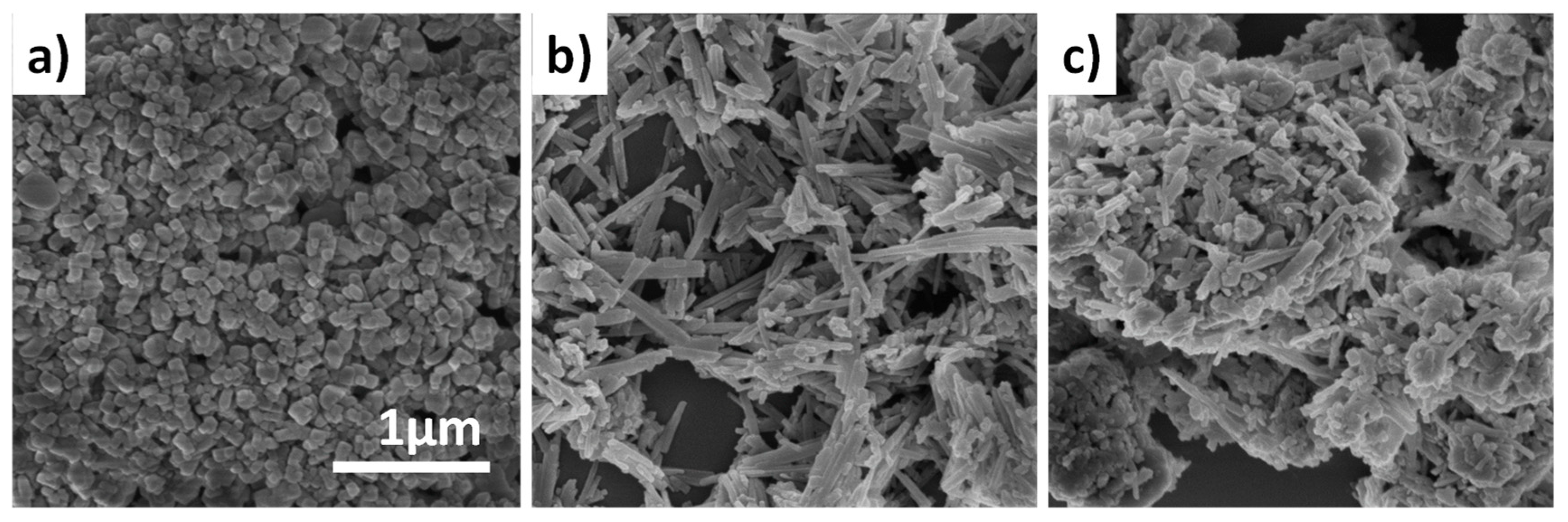 Molecules 24 03462 g004