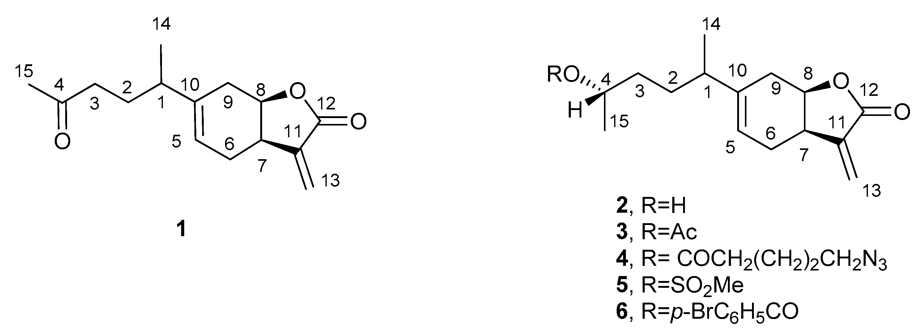 Molecules 24 03479 g001