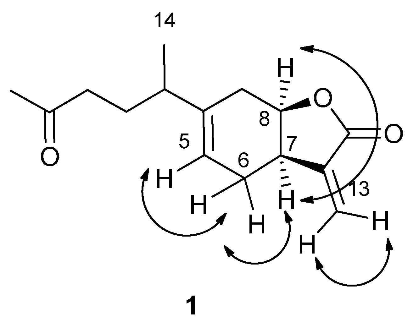 Molecules 24 03479 g002