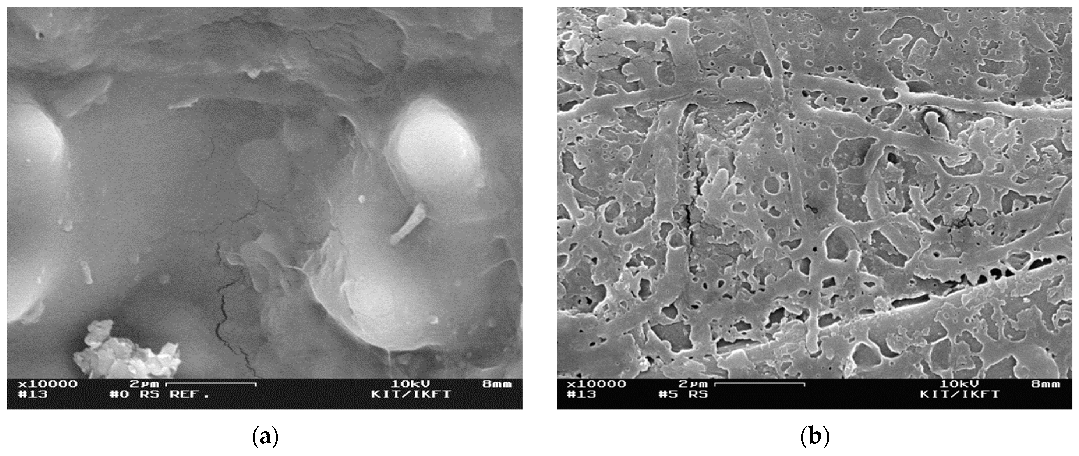 Molecules 24 03492 g005a Molecules 24 03492 g005a