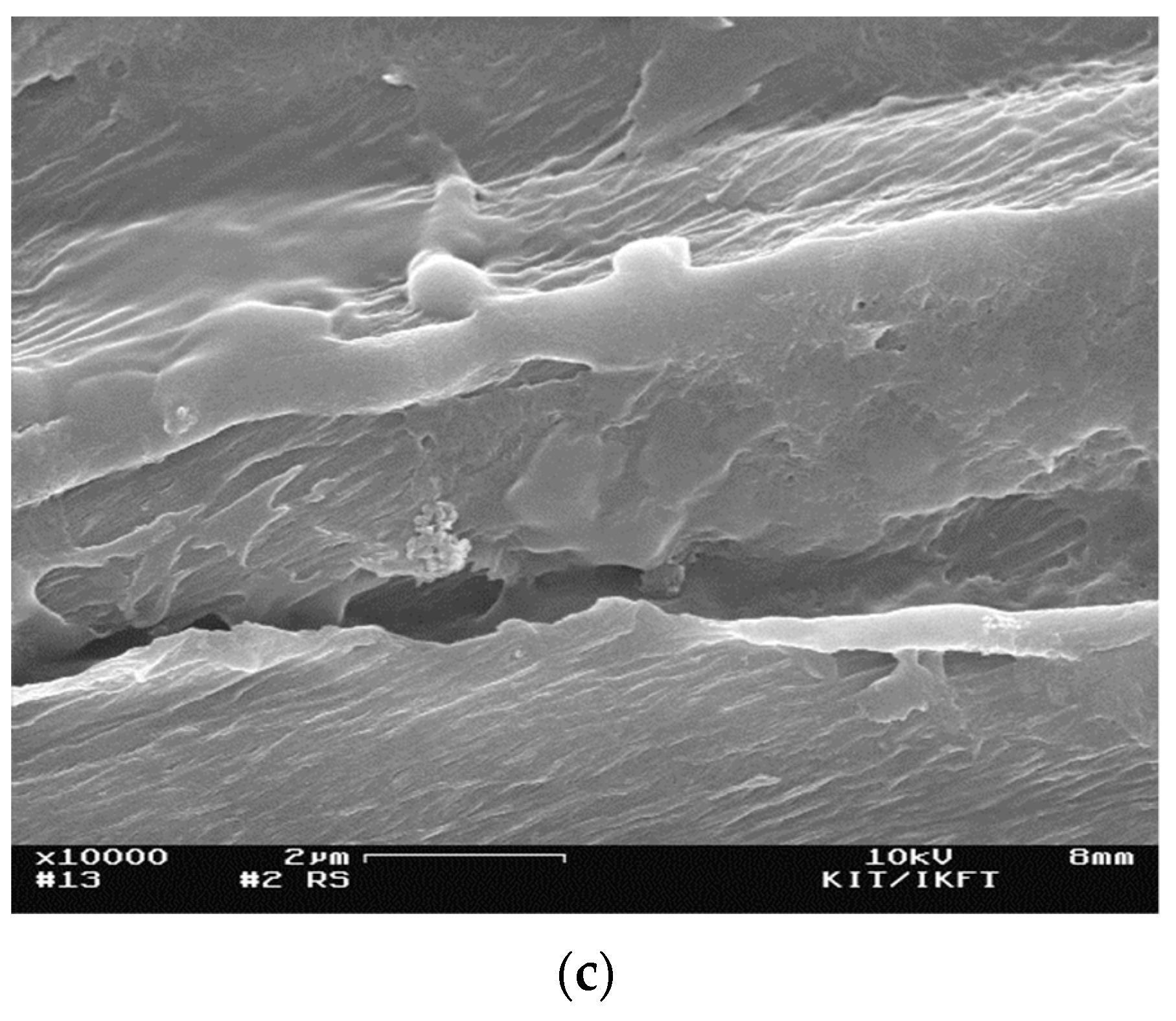 Molecules 24 03492 g005b Molecules 24 03492 g005b