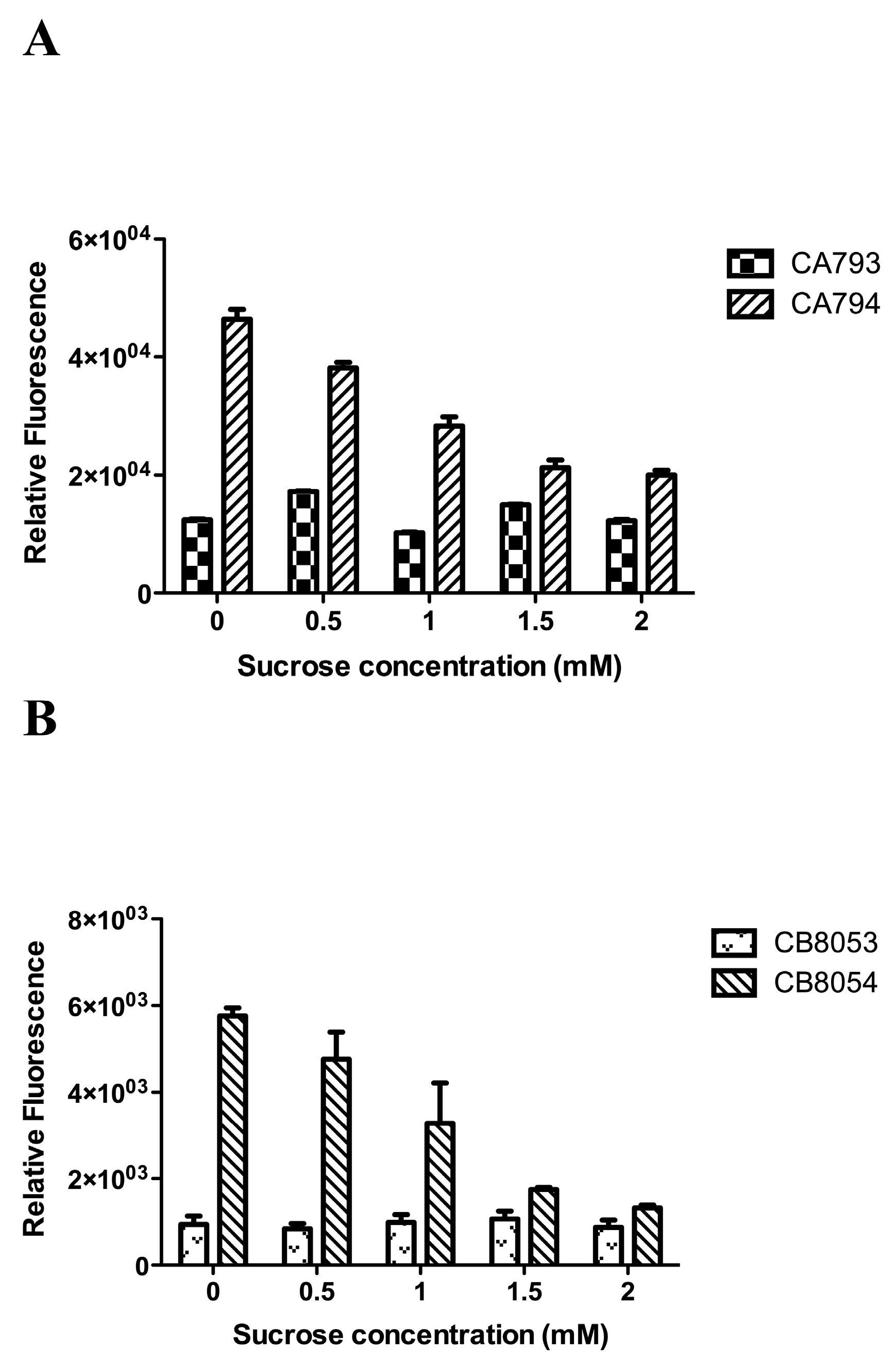 Molecules 24 03495 g003
