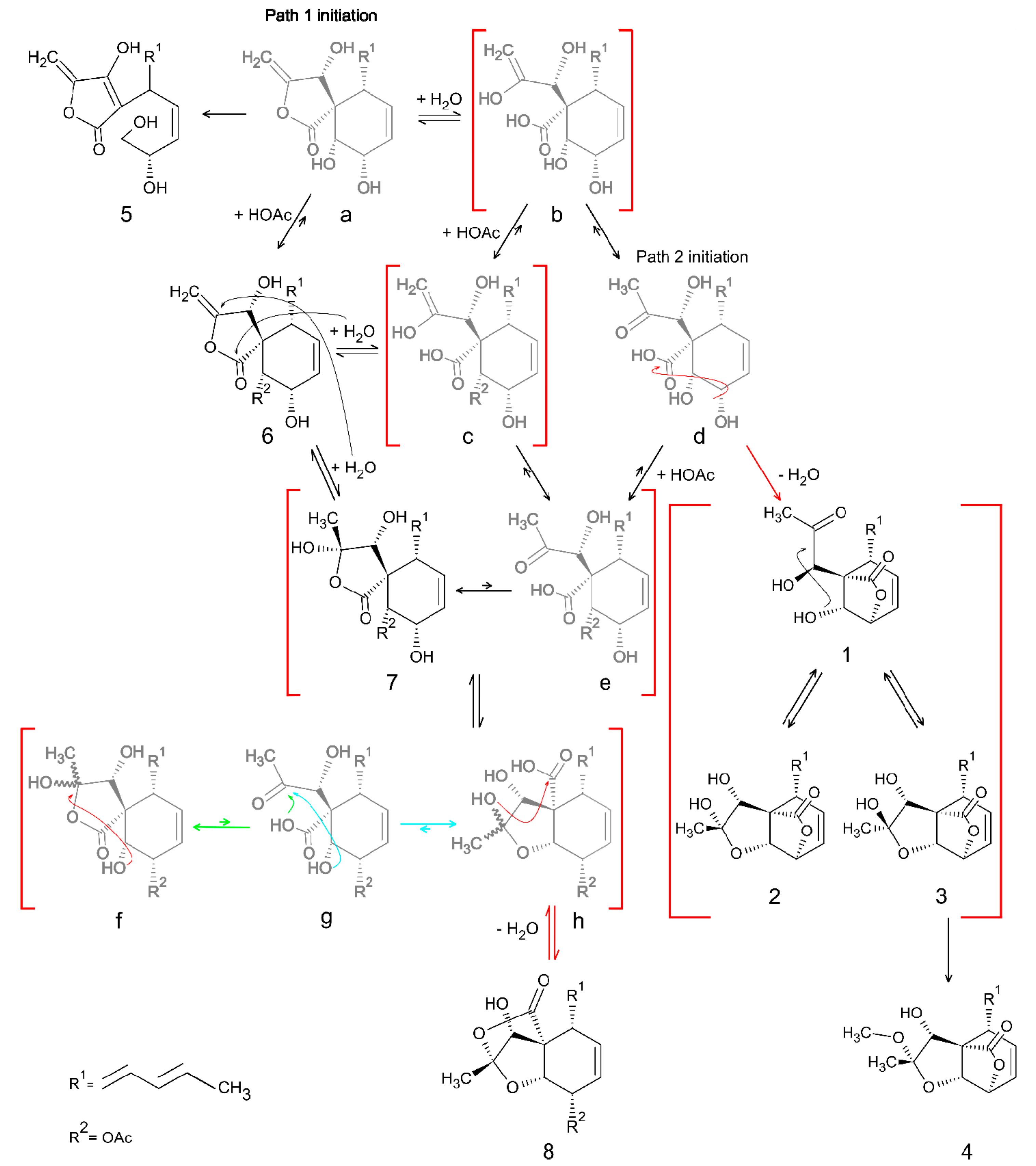 Molecules 24 03498 g006 Molecules 24 03498 g006