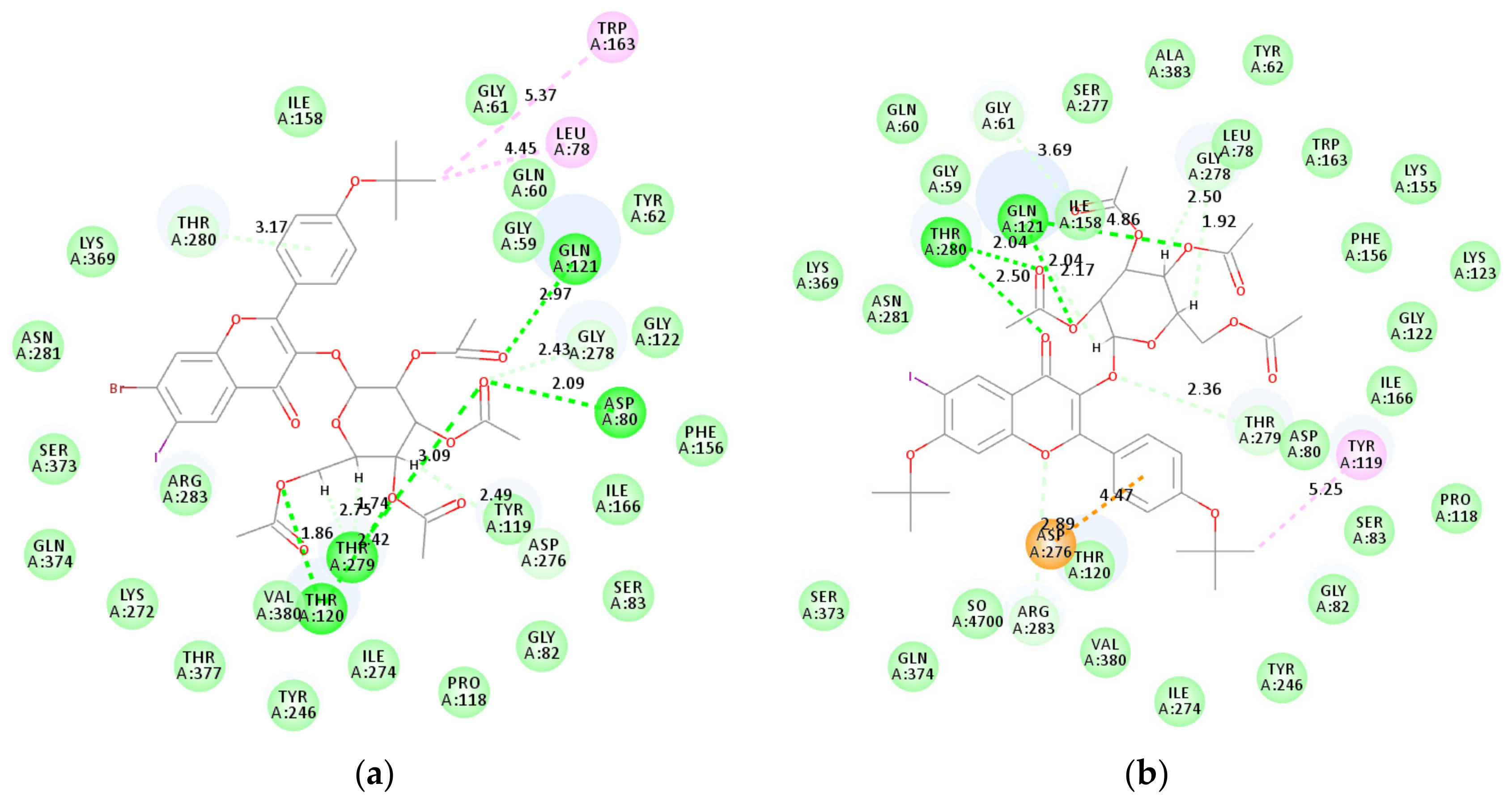 Molecules 24 03500 g005