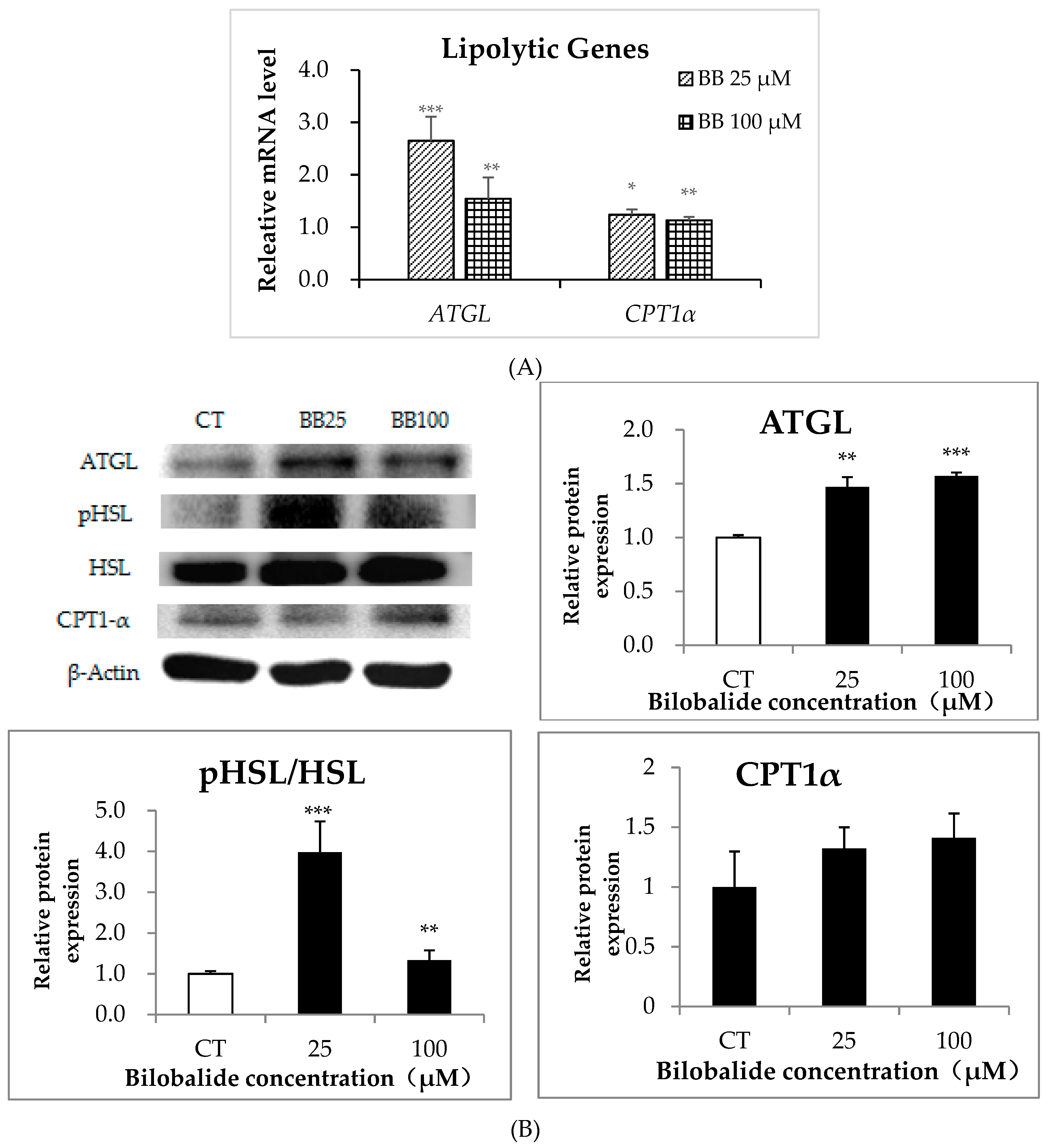 Molecules 24 03503 g006