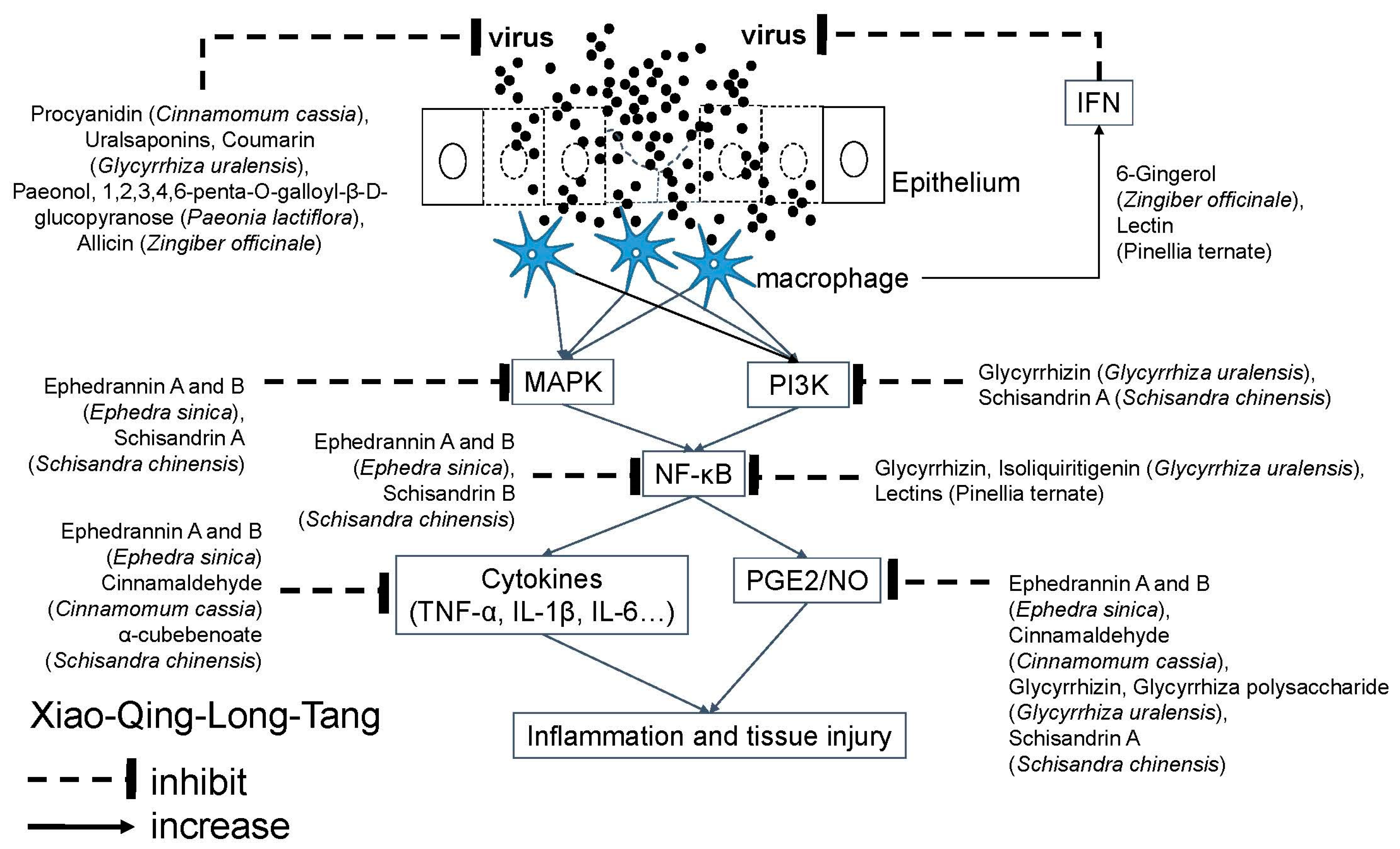 Molecules 24 03505 g005