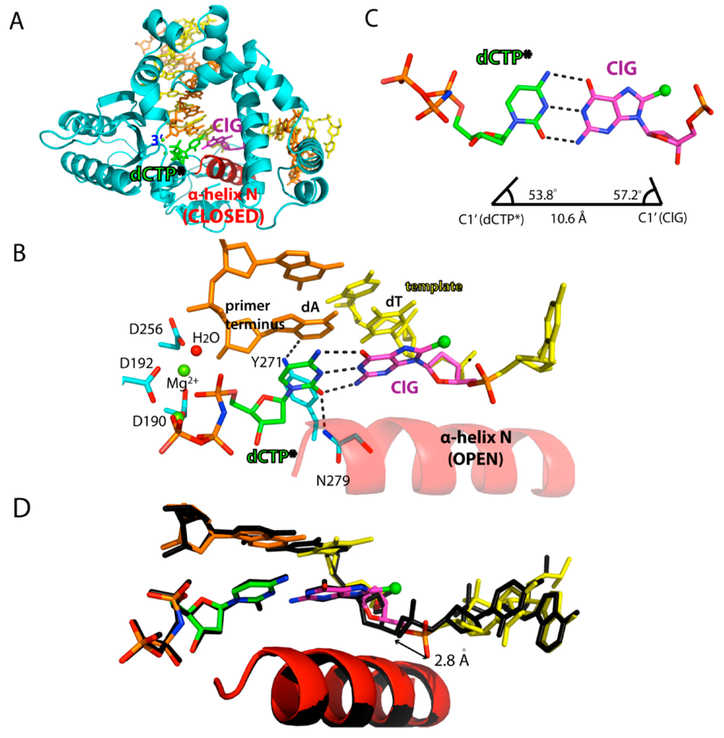 Molecules 24 03507 g003 Molecules 24 03507 g003