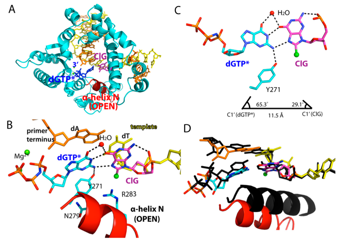 Molecules 24 03507 g004 Molecules 24 03507 g004