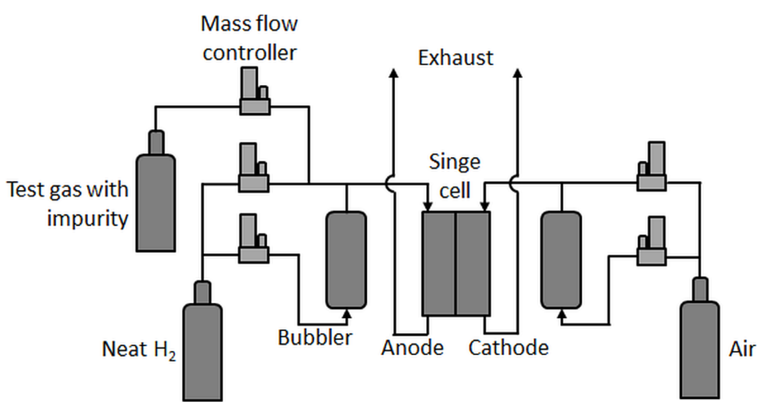 Molecules 24 03514 g001