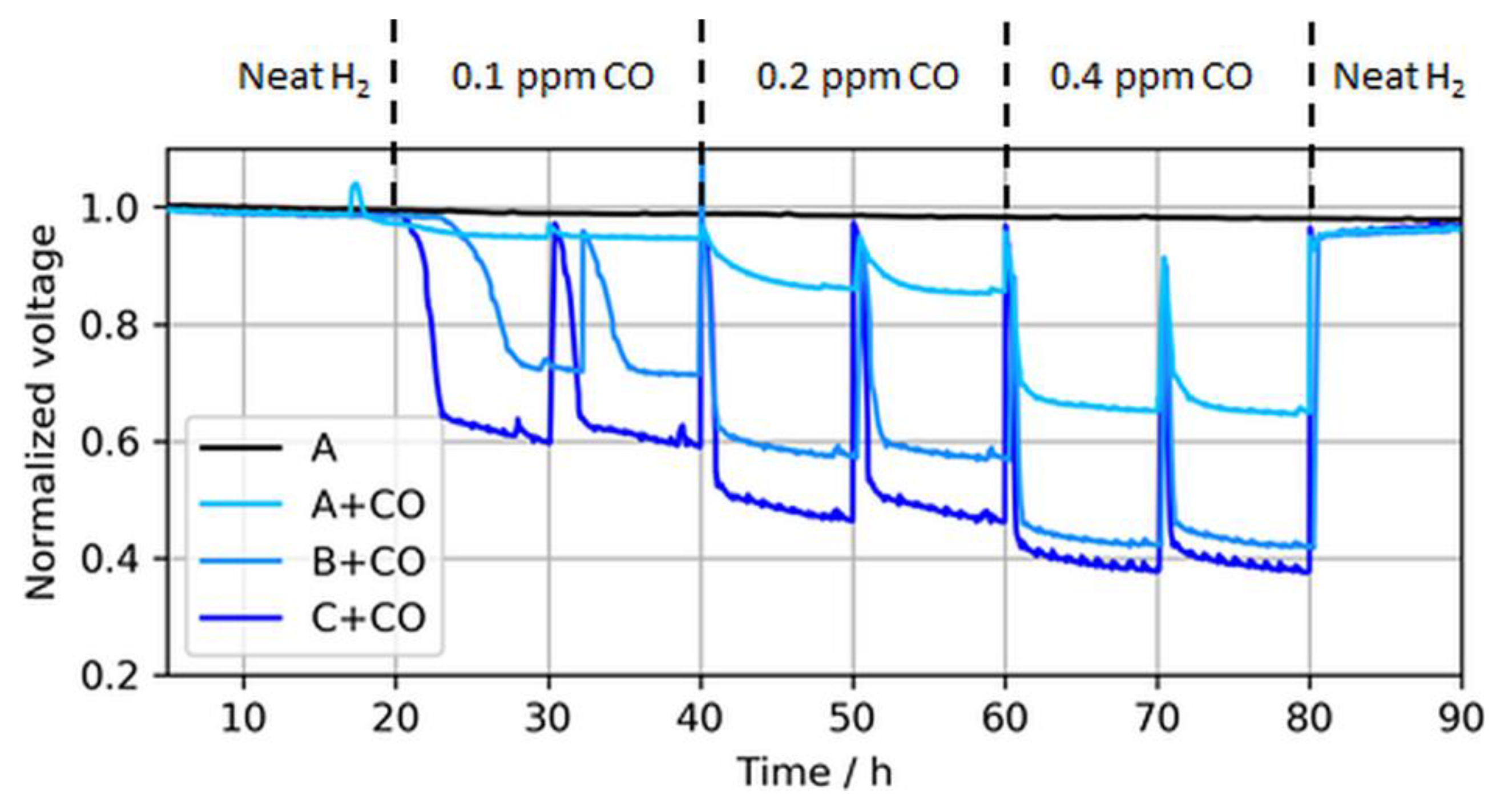 Molecules 24 03514 g006