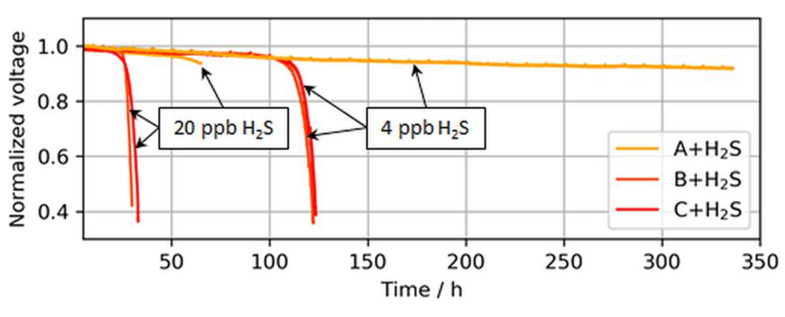 Molecules 24 03514 g008