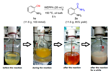 Molecules 24 03838 i005