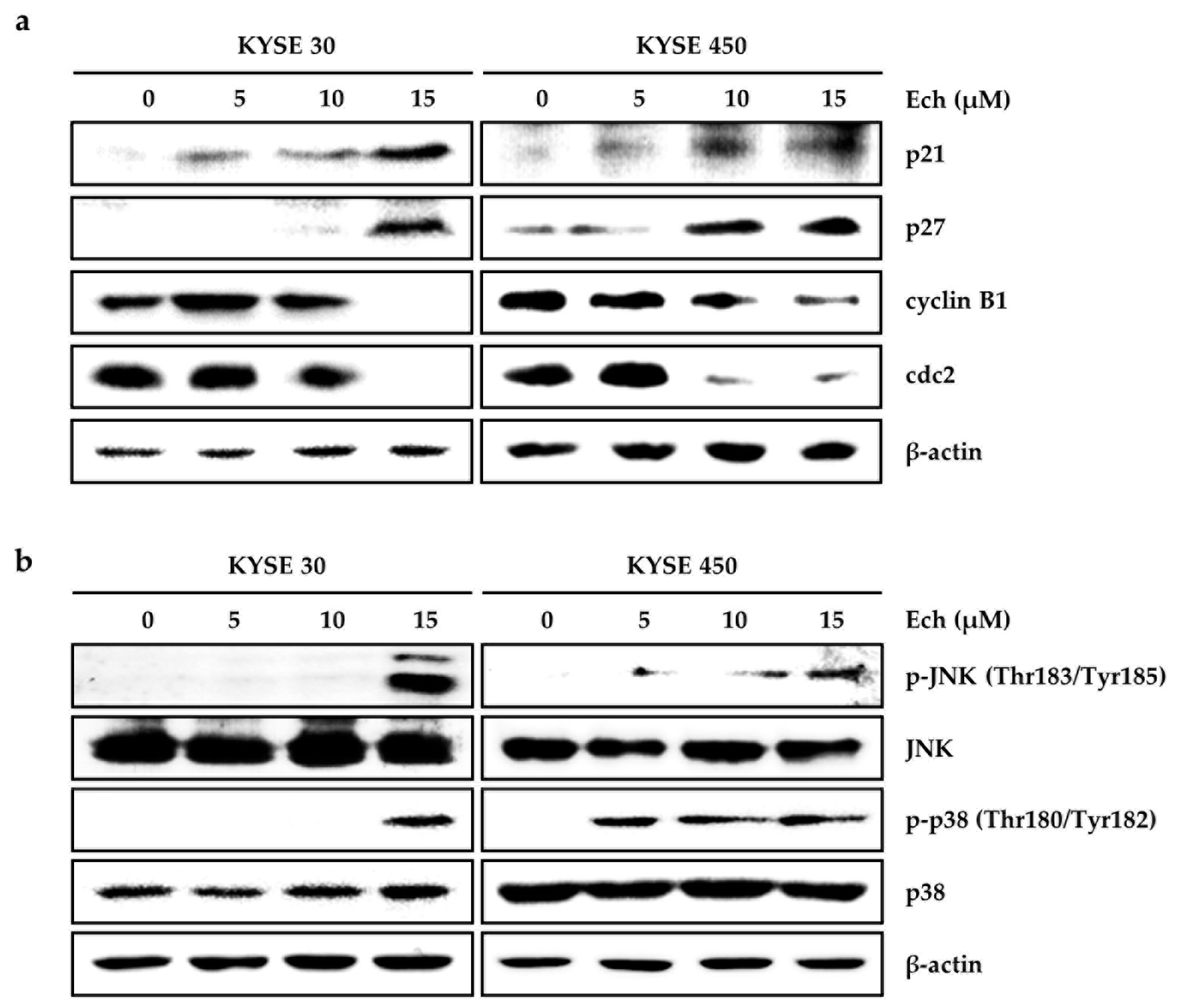 Molecules 24 04055 g003