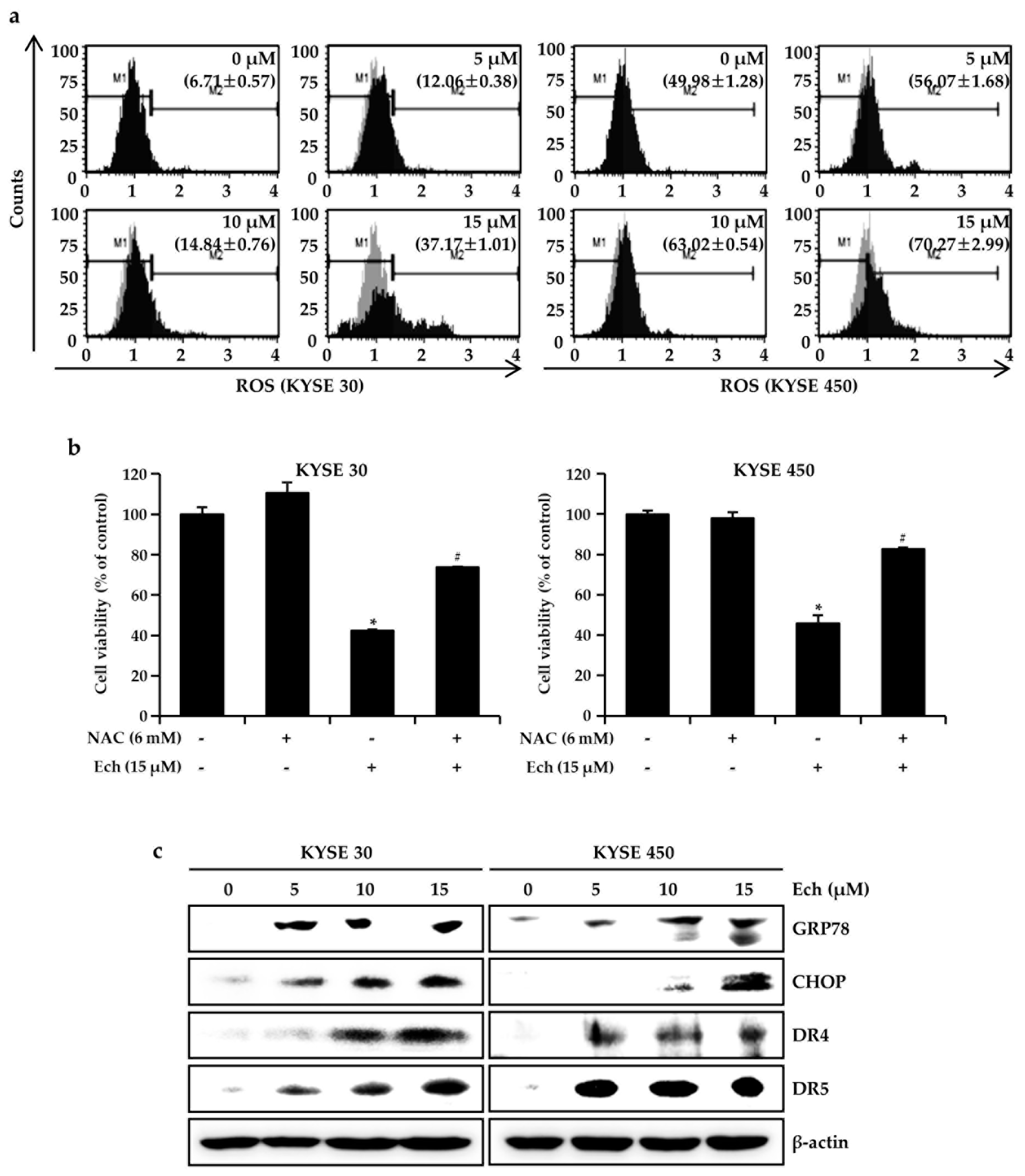 Molecules 24 04055 g004