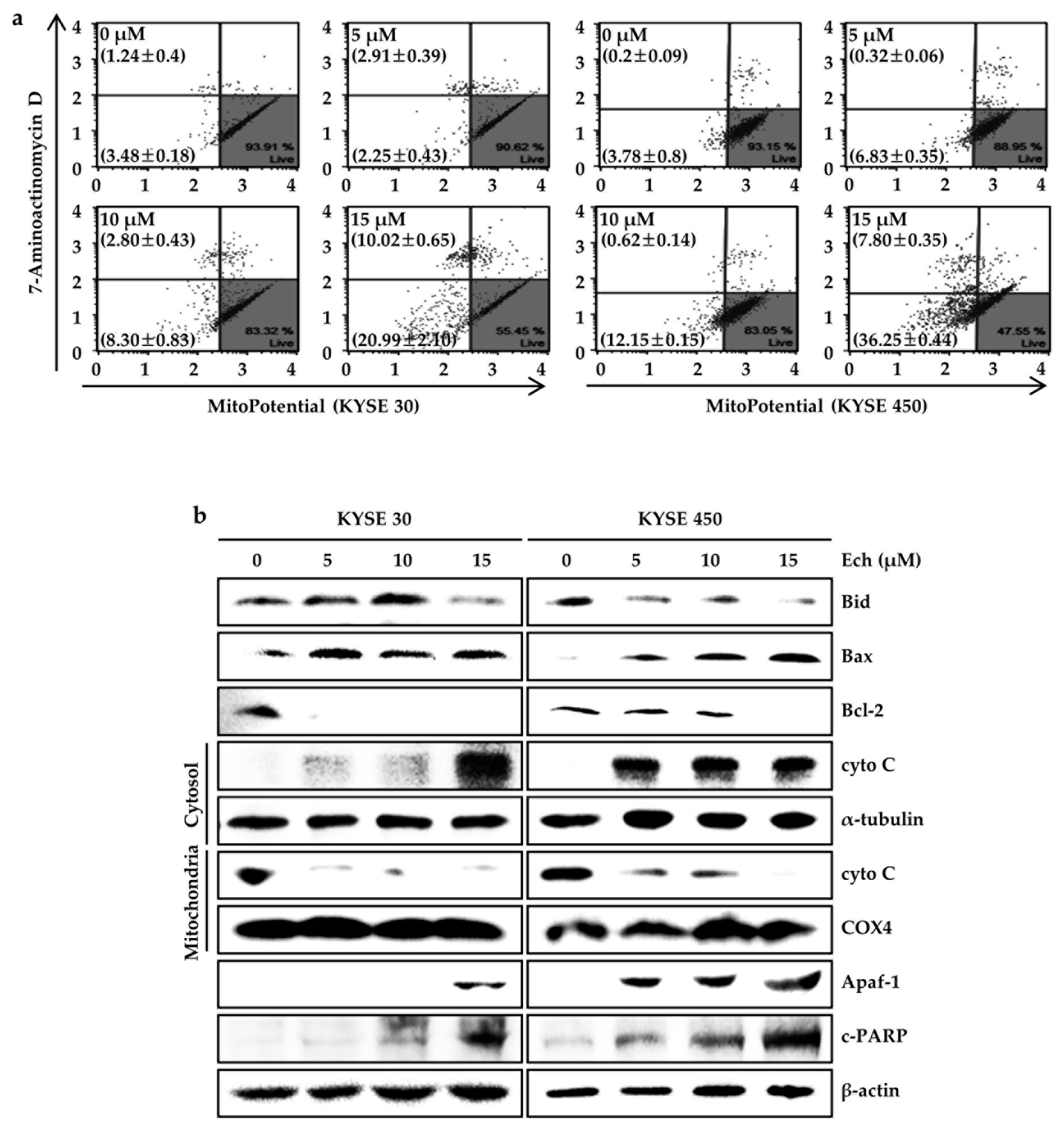 Molecules 24 04055 g005