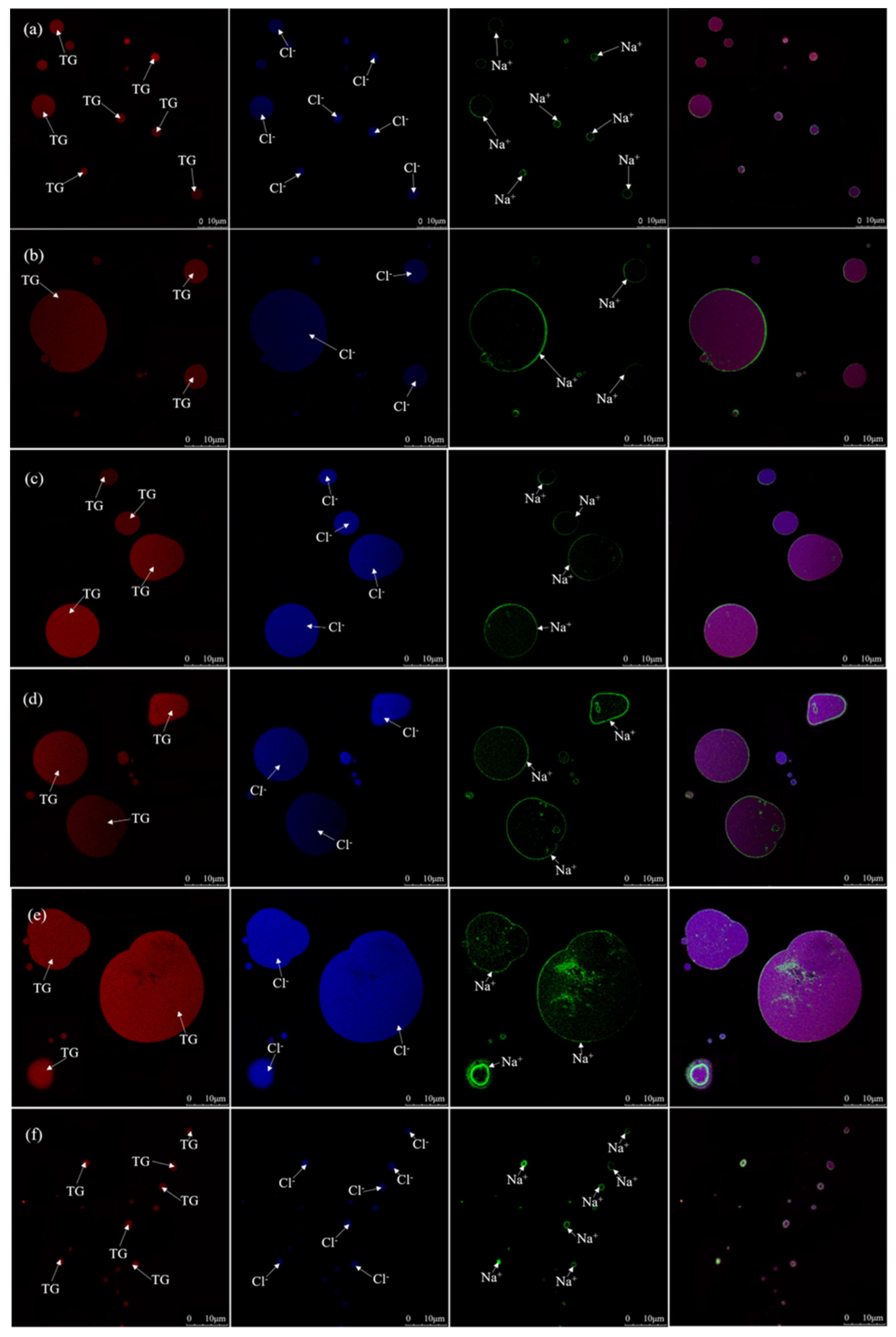 Molecules 24 04447 g003