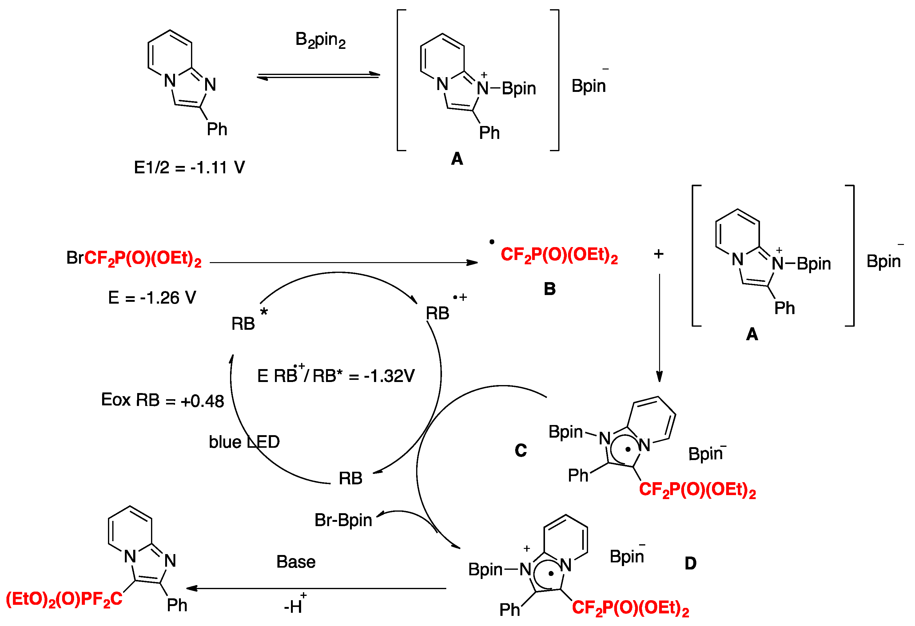 Molecules 24 04483 sch007