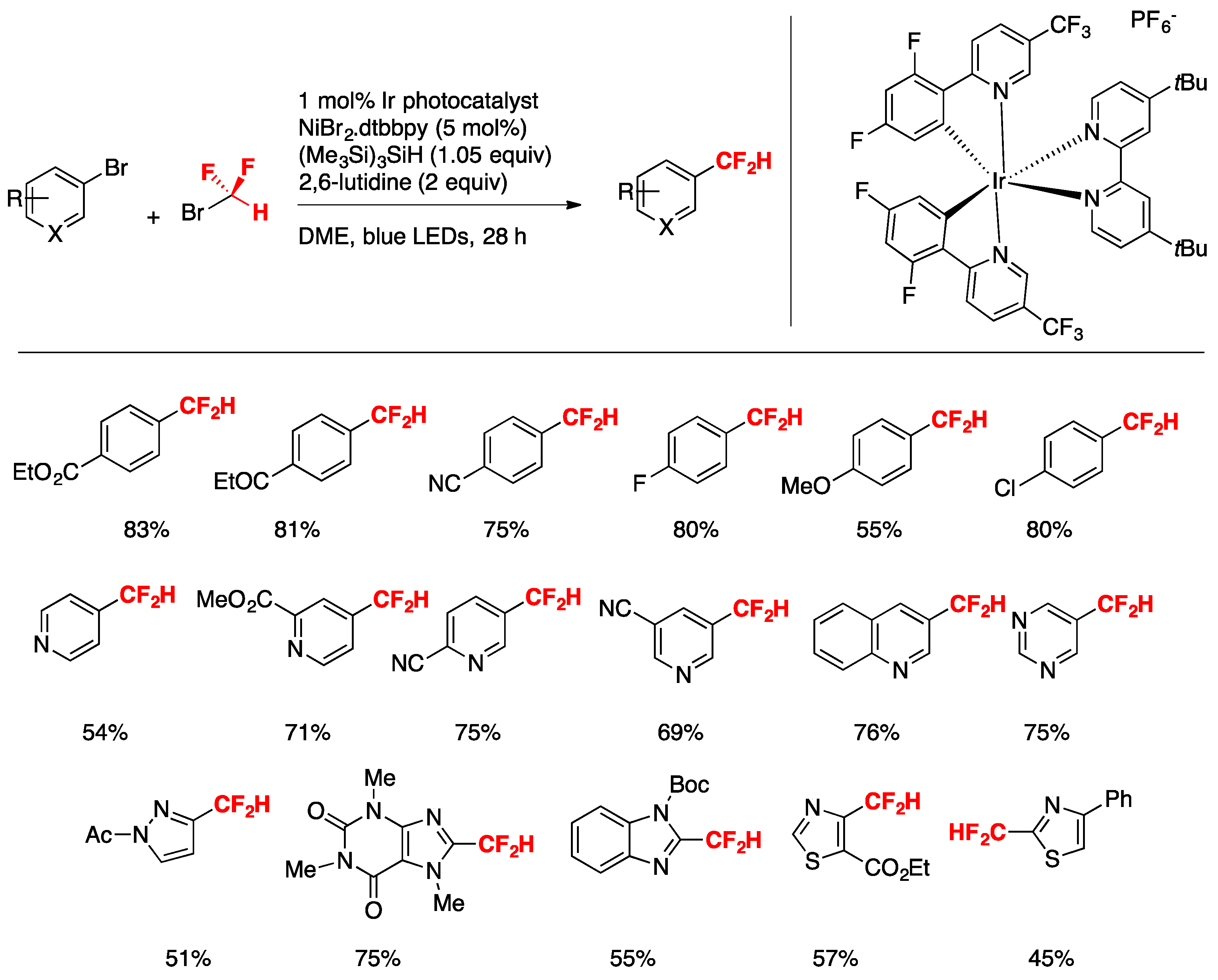 Molecules 24 04483 sch012