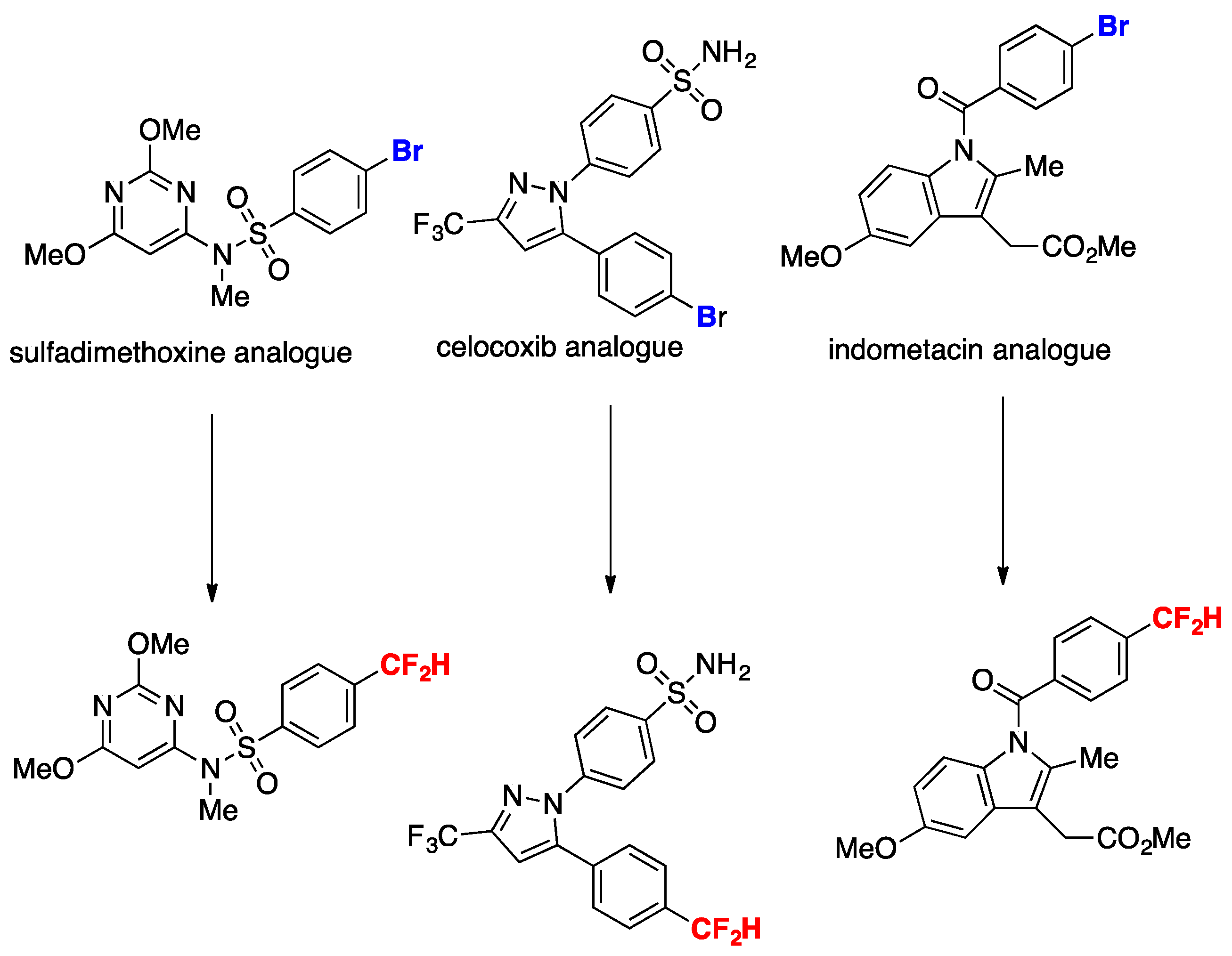 Molecules 24 04483 sch013