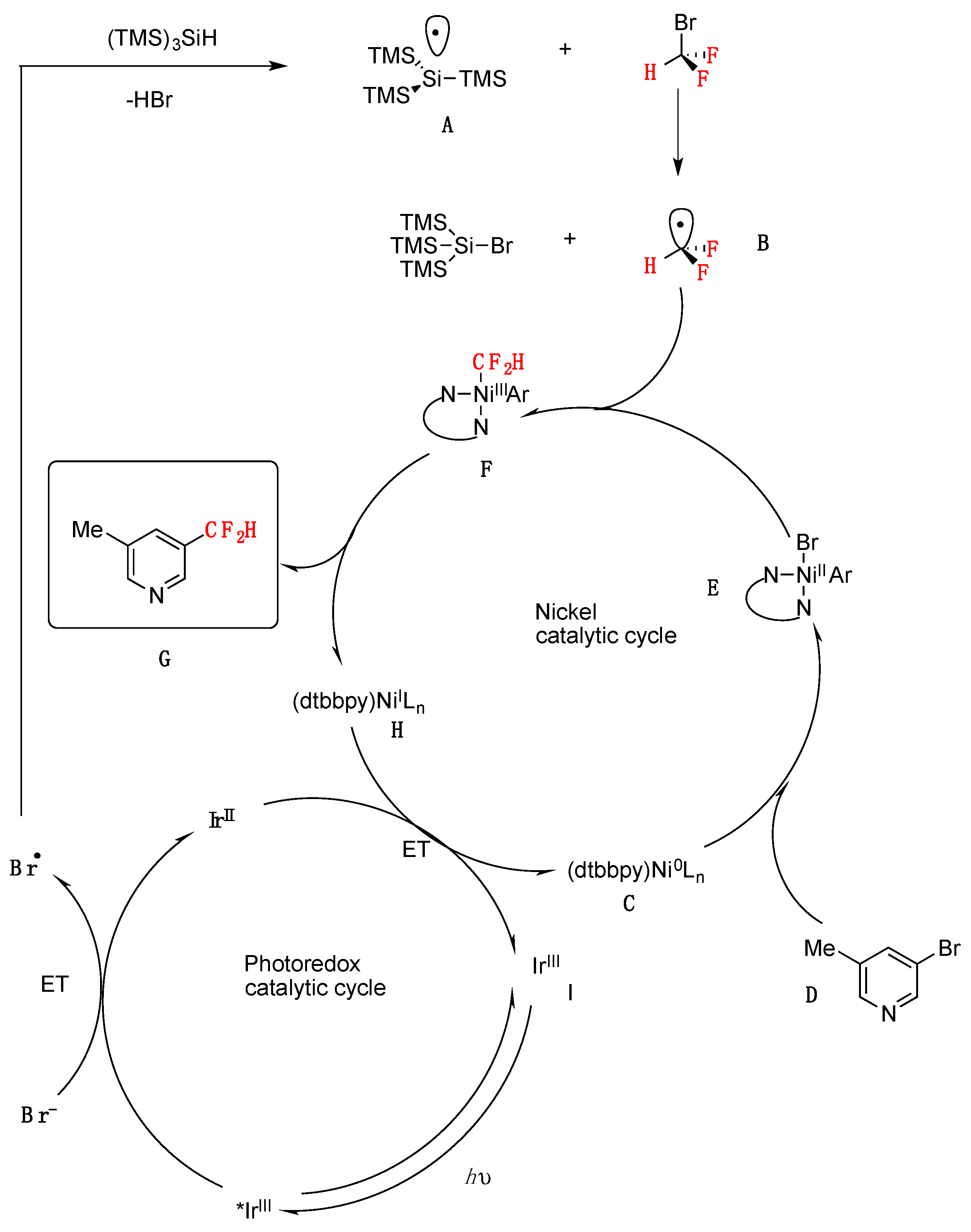 Molecules 24 04483 sch014