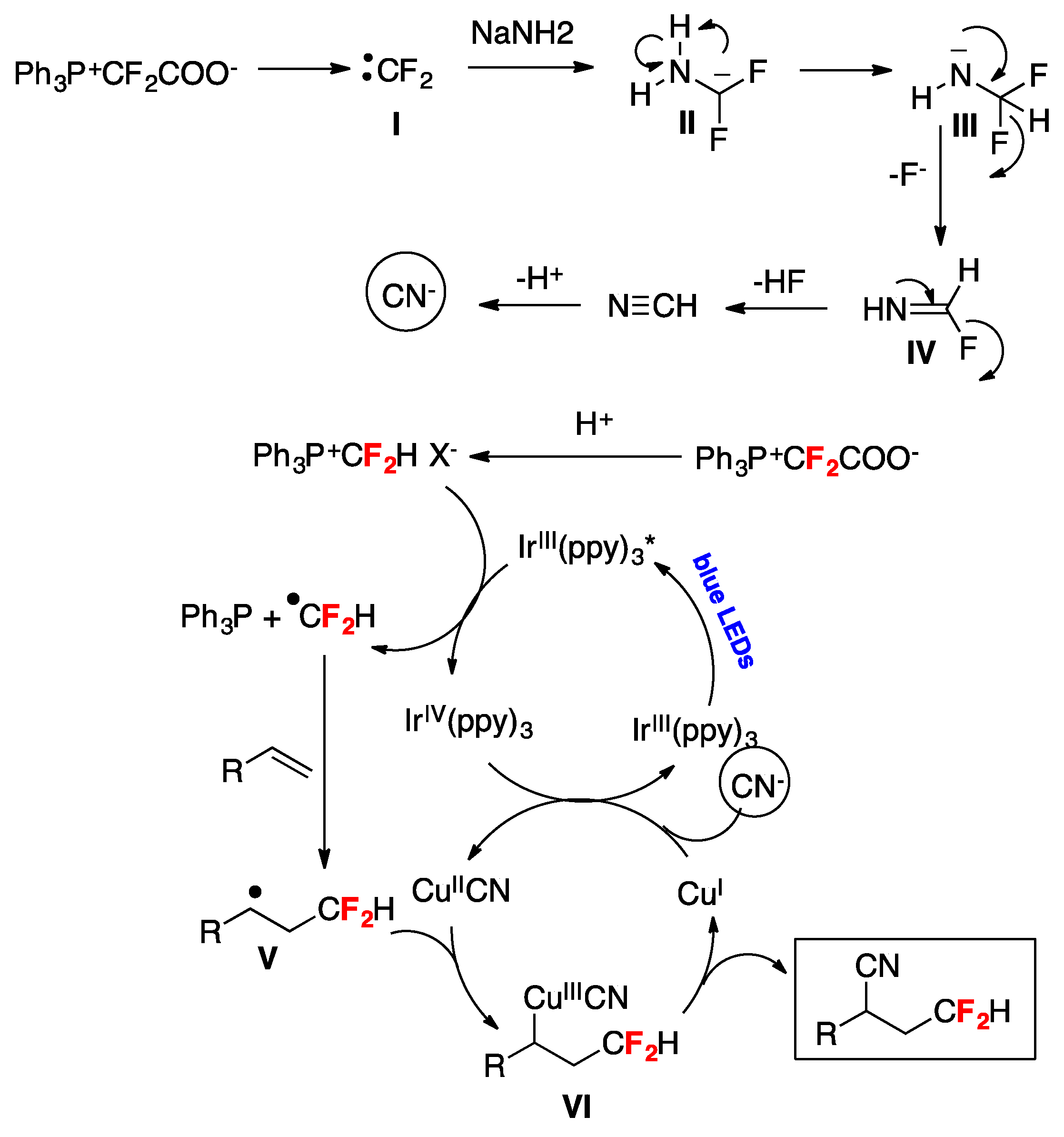Molecules 24 04483 sch021