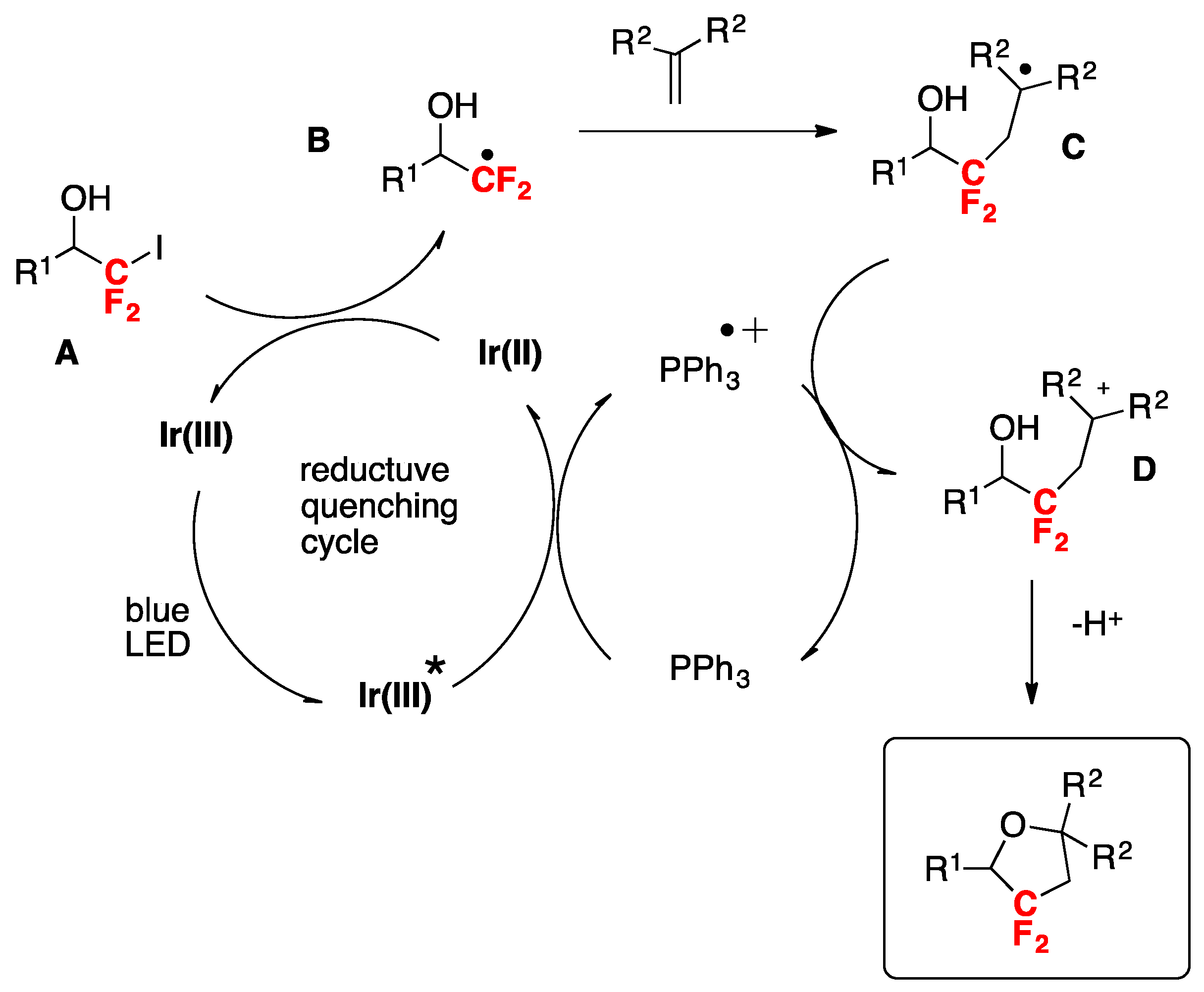 Molecules 24 04483 sch039