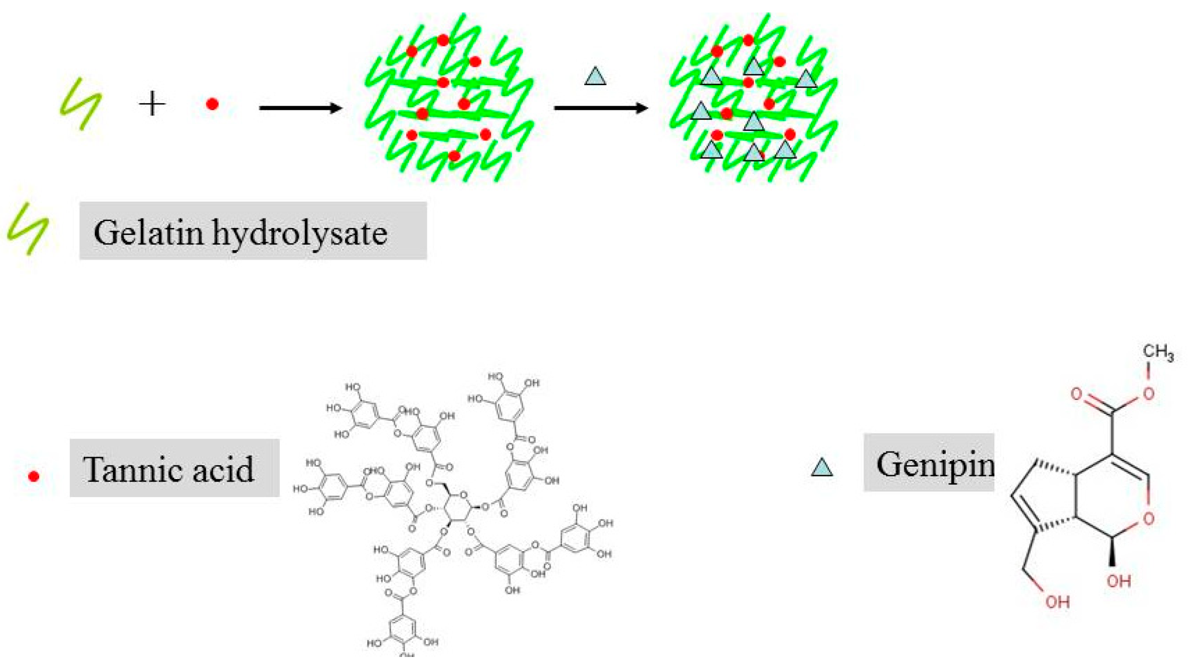 Molecules 25 00393 g001