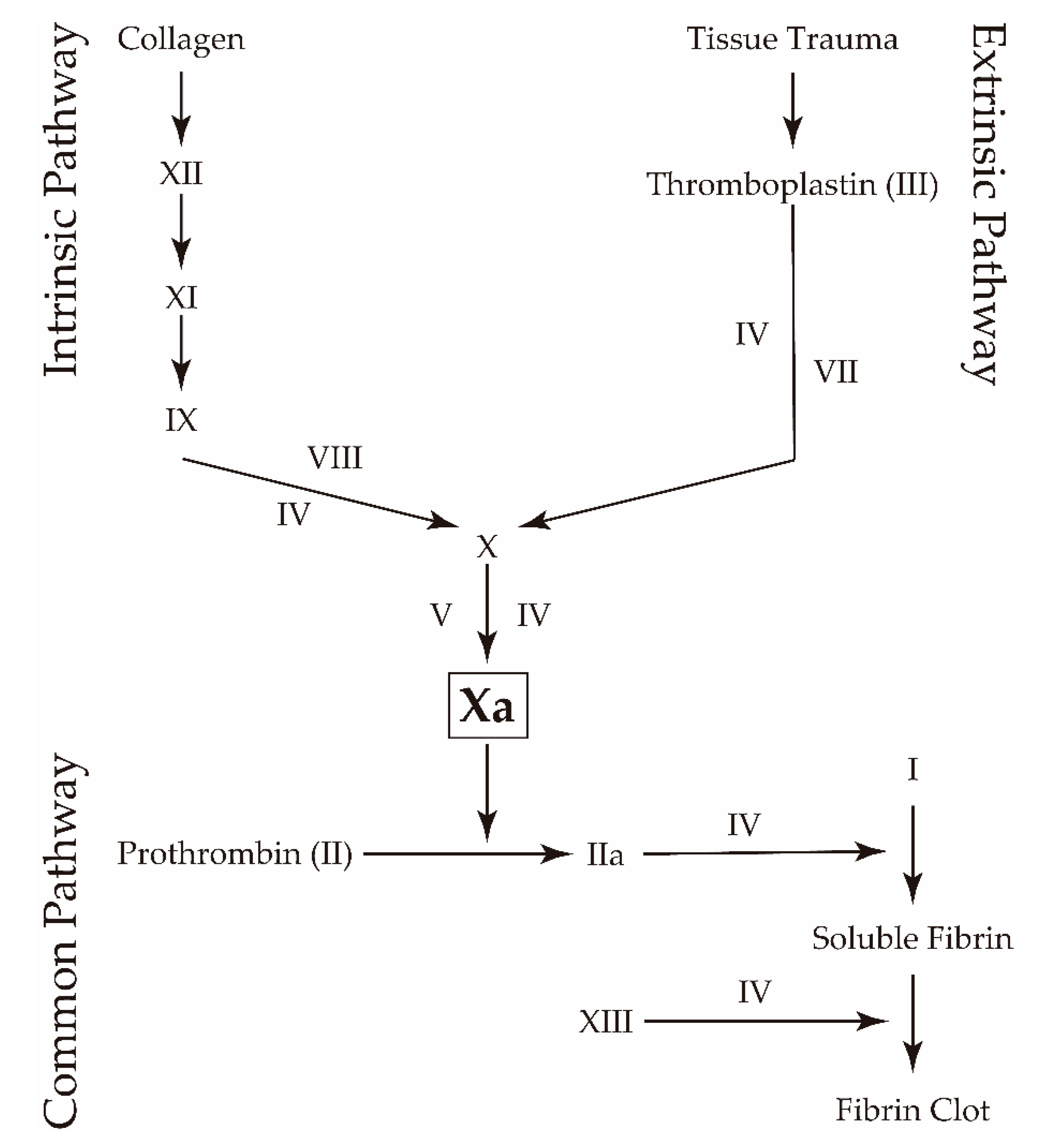 Molecules 25 00491 g001