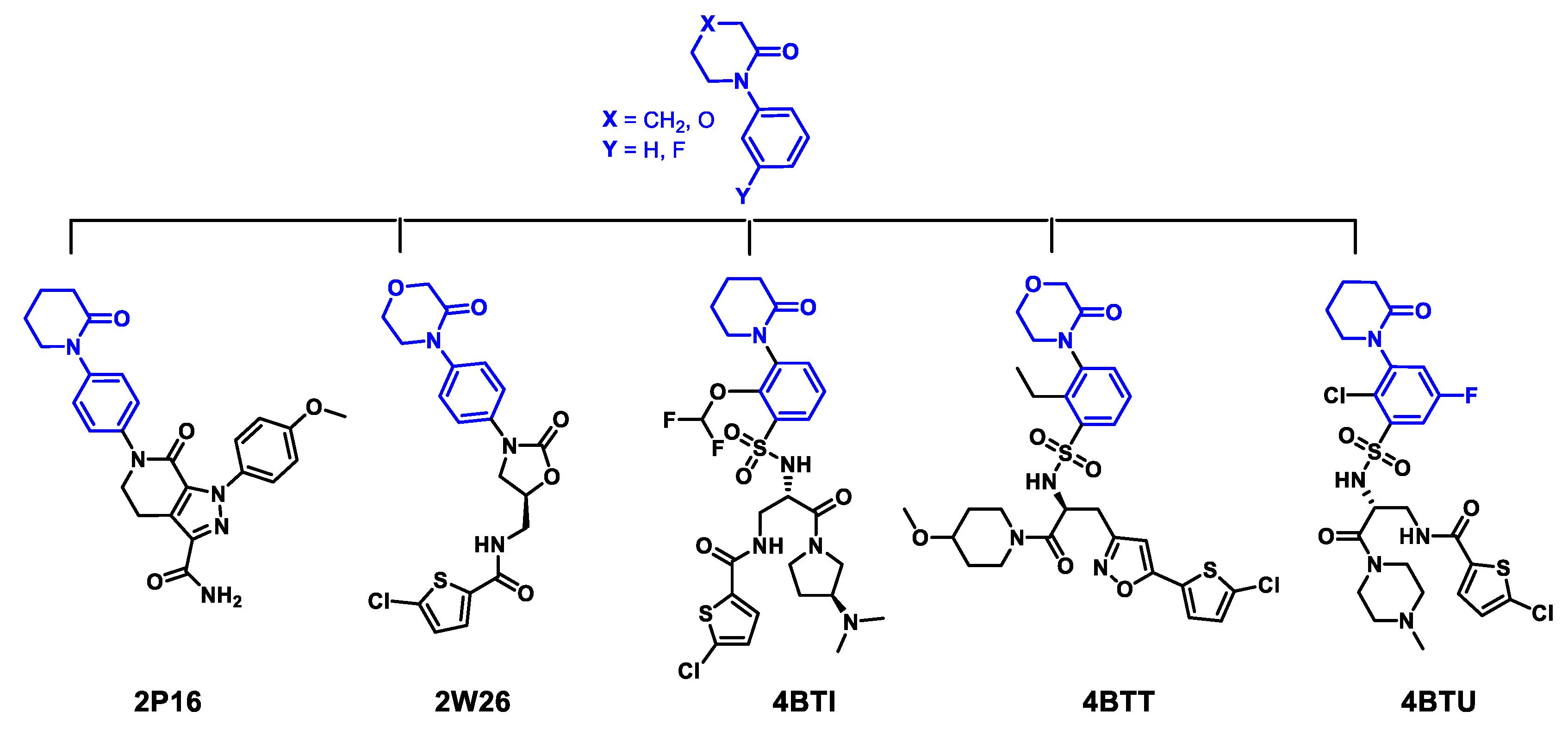 Molecules 25 00491 g005