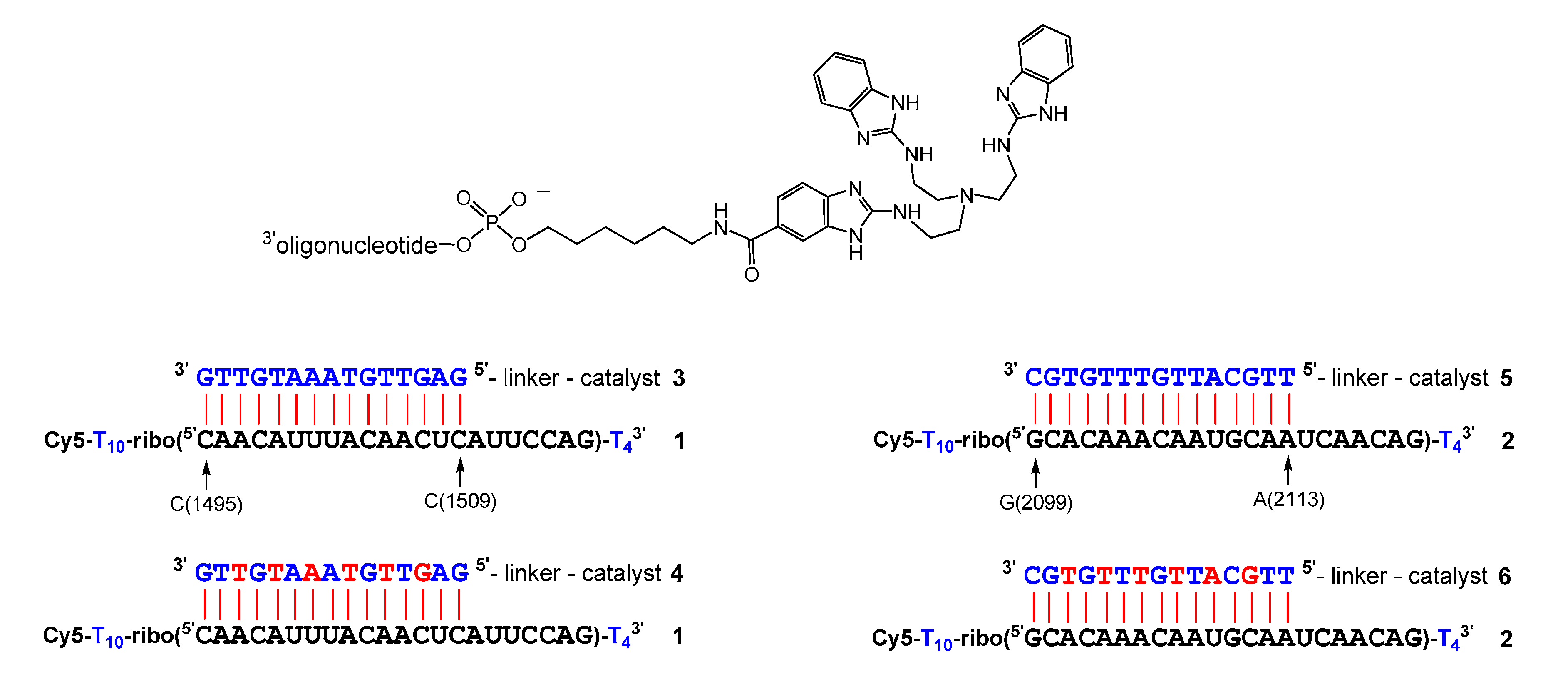 Molecules 25 01842 g001