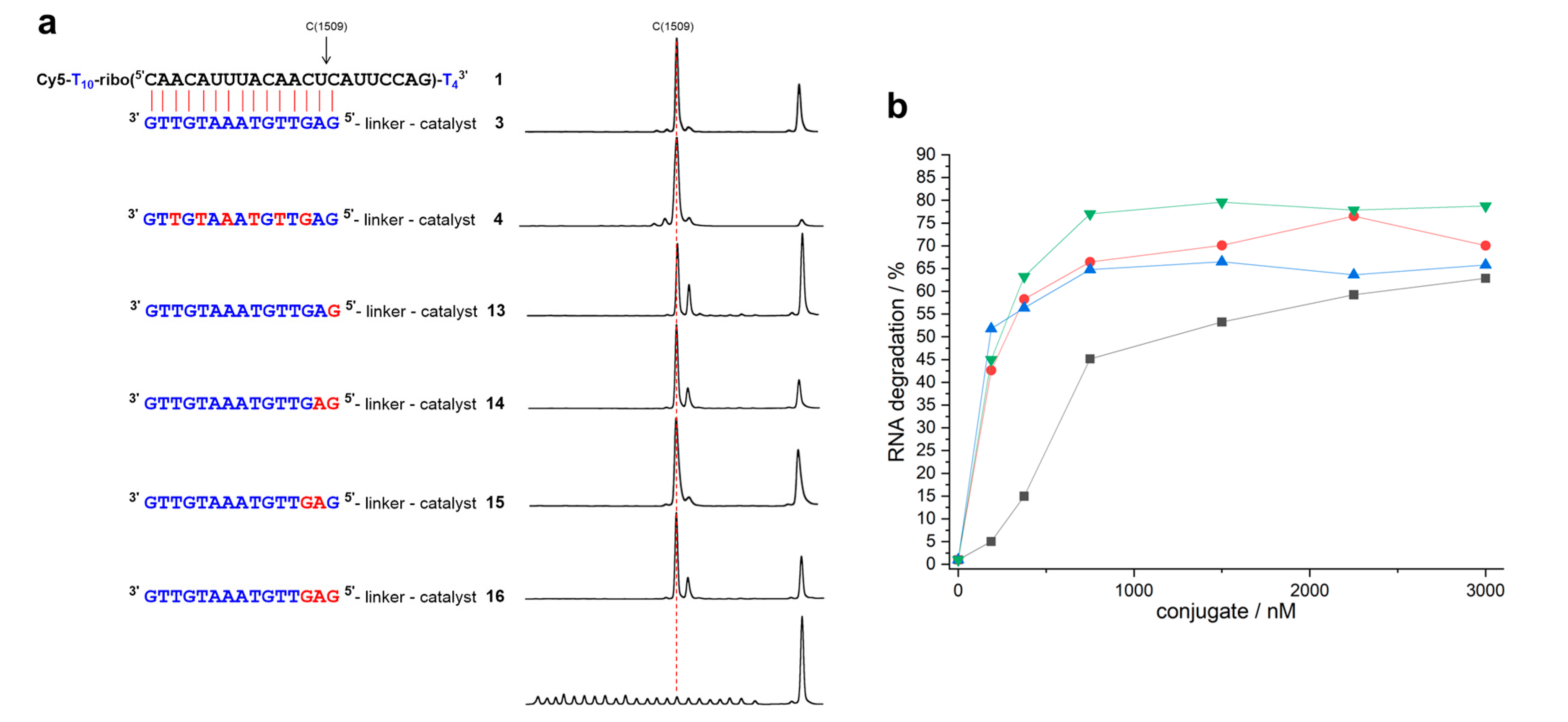Molecules 25 01842 g002