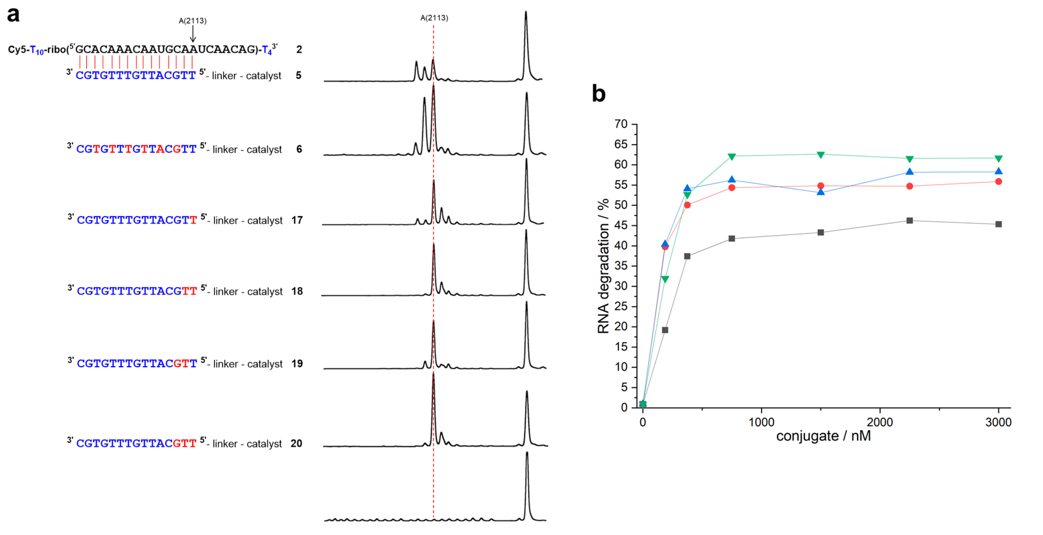 Molecules 25 01842 g004