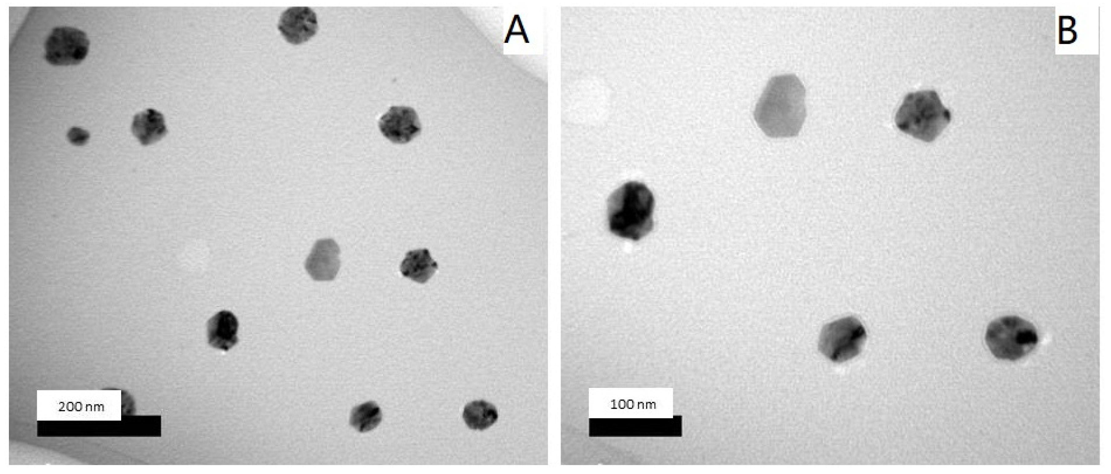 Molecules 25 01936 g004