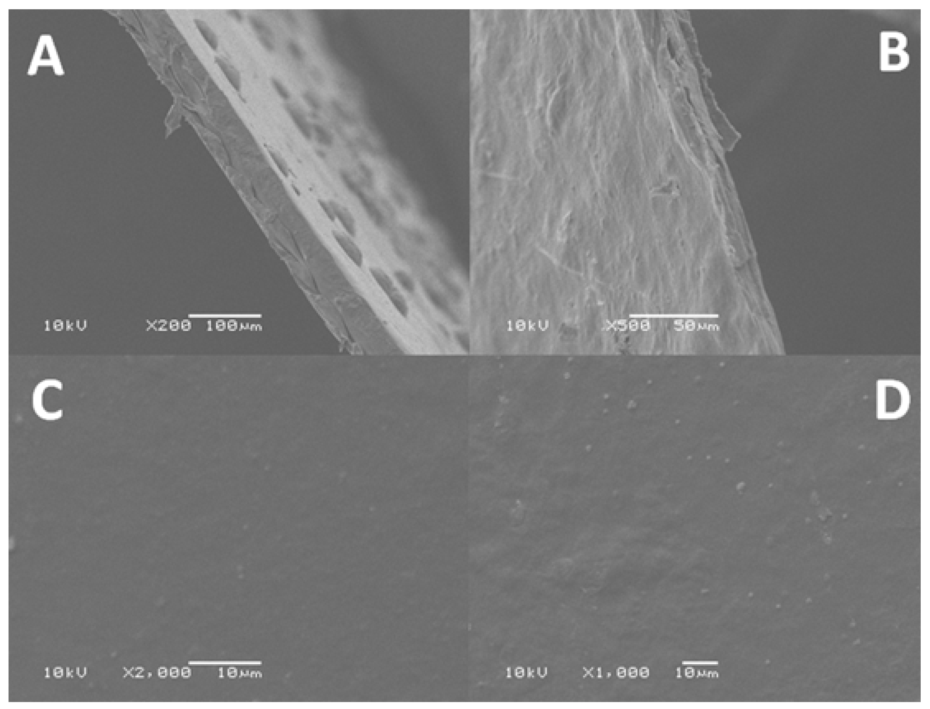 Molecules 25 01936 g008
