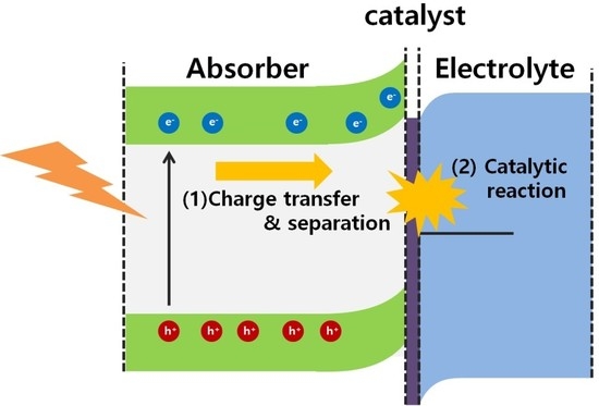 Published by MDPI AG