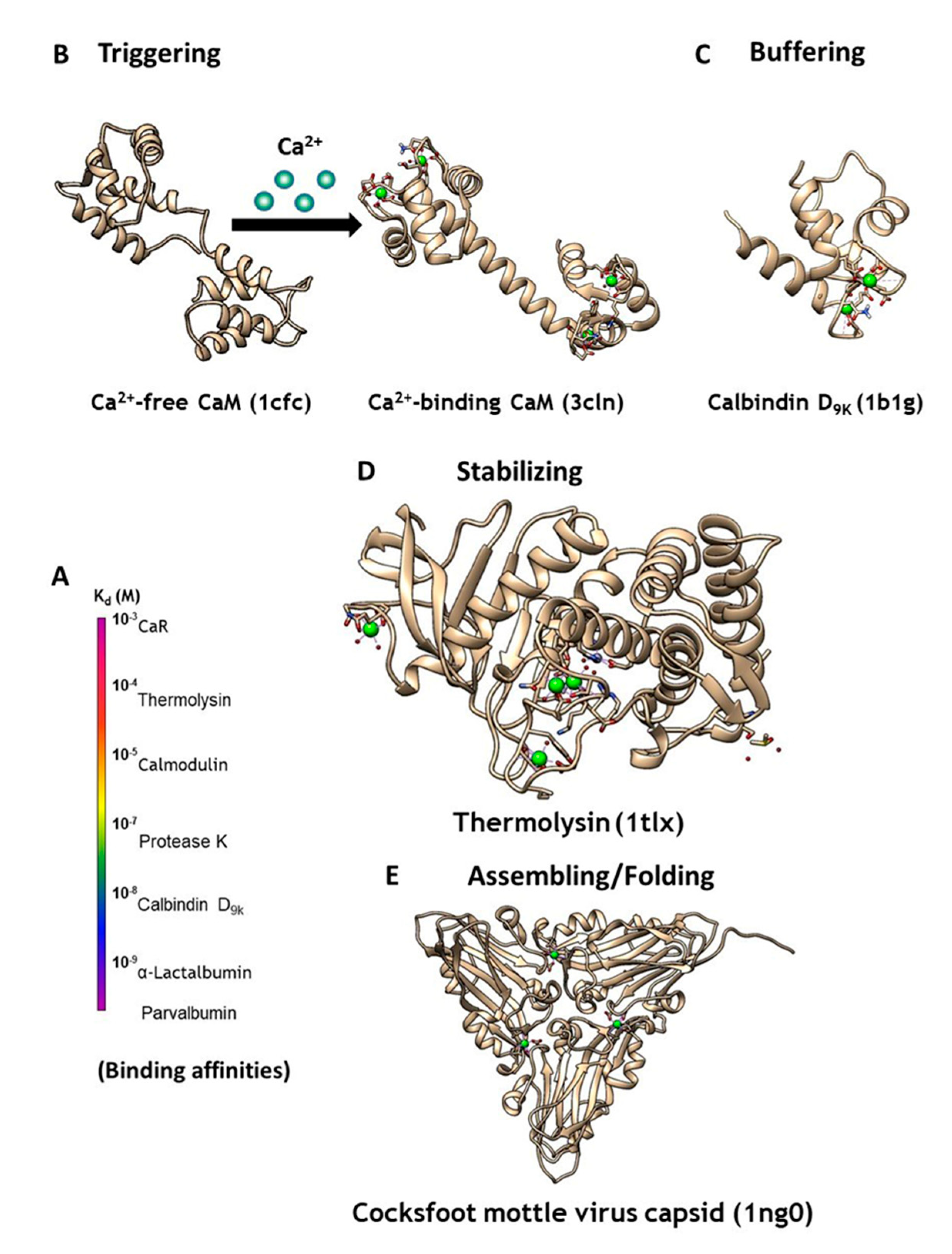 Molecules 25 02148 g001