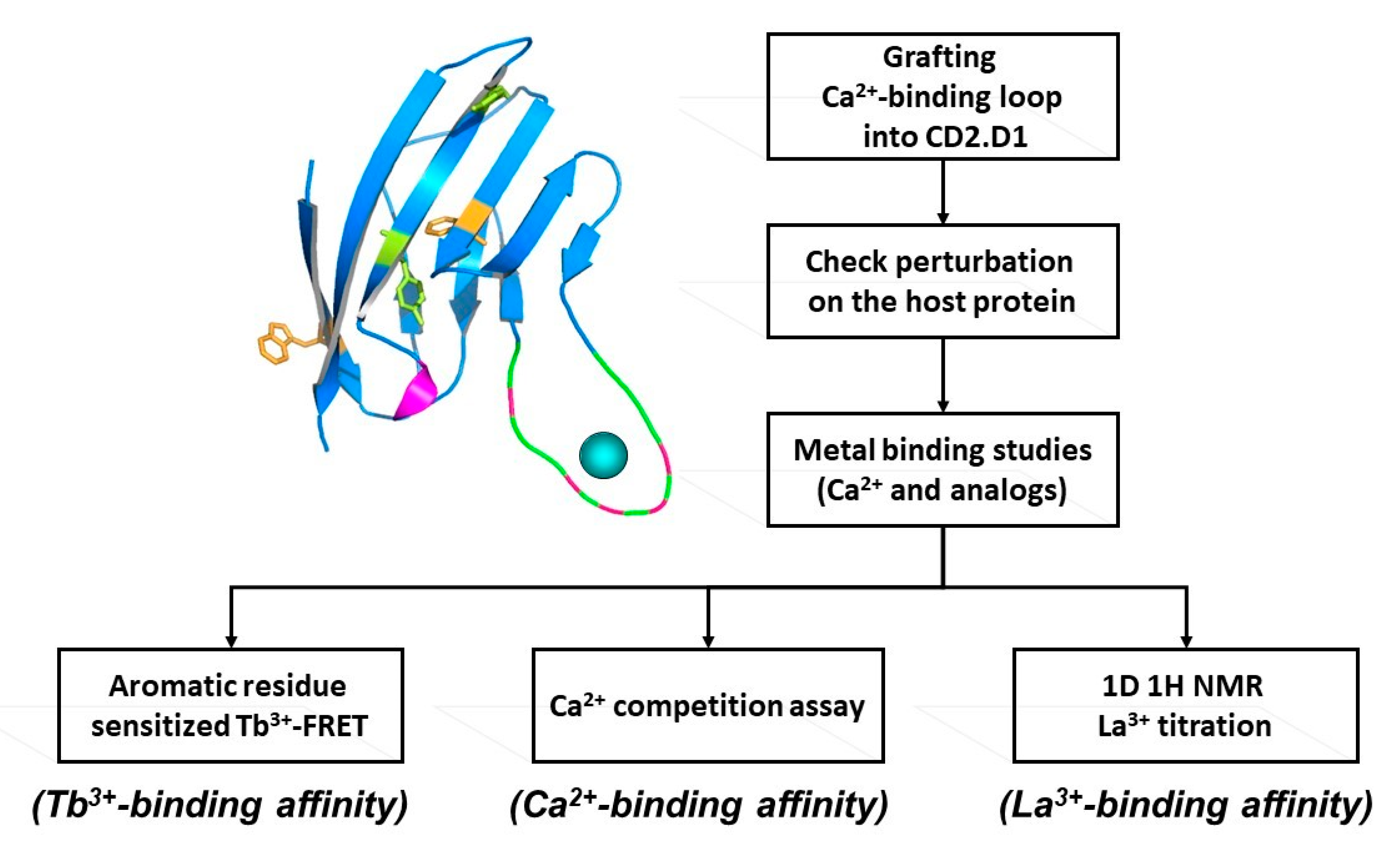 Molecules 25 02148 g002
