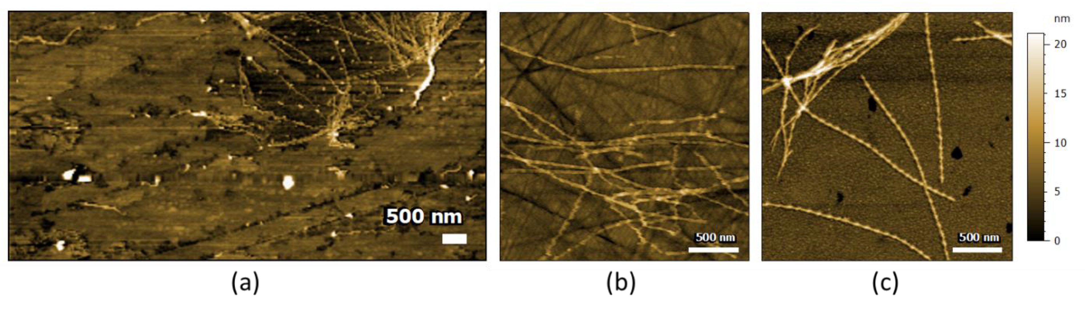 Molecules 25 02899 g006