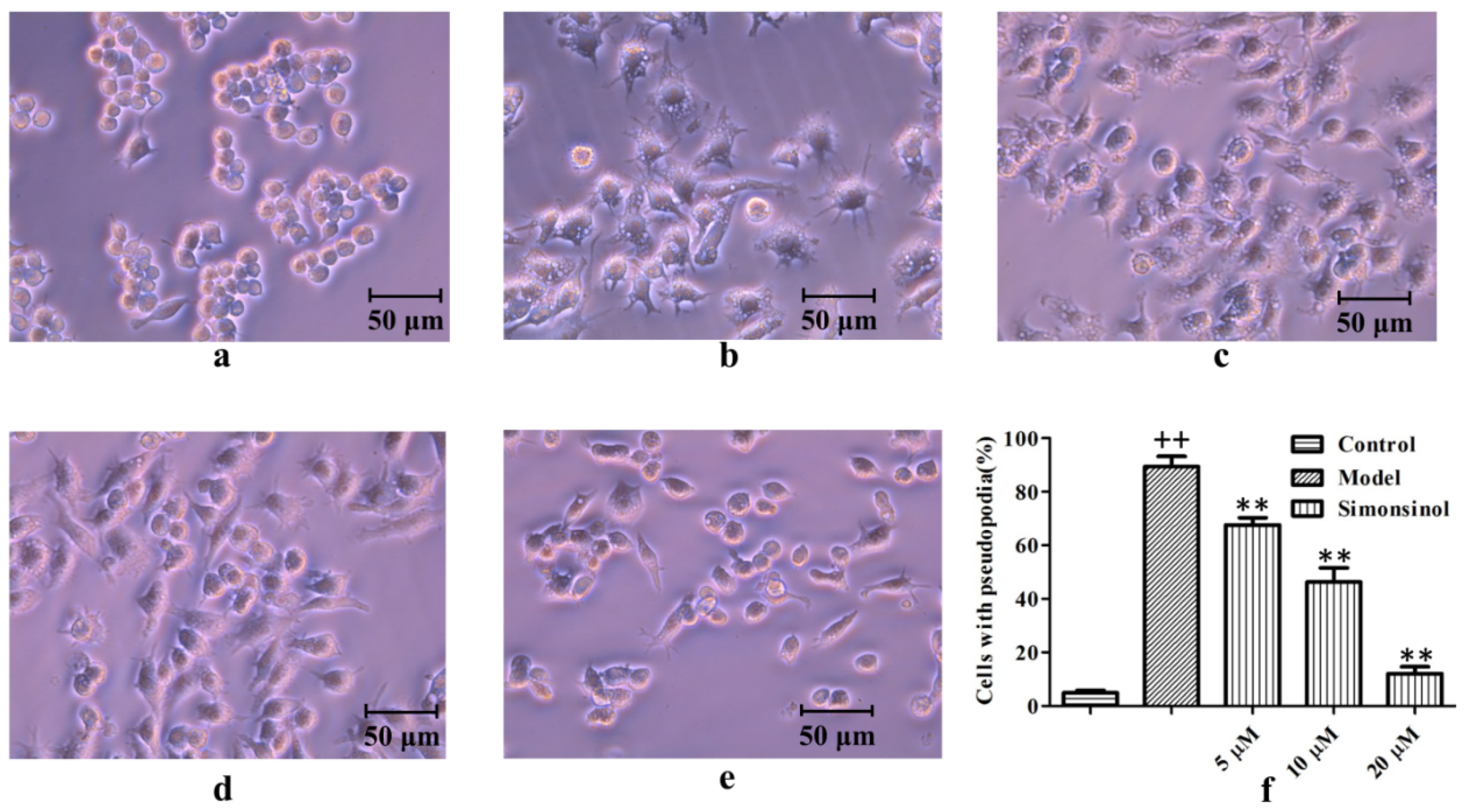 Molecules 25 03573 g003