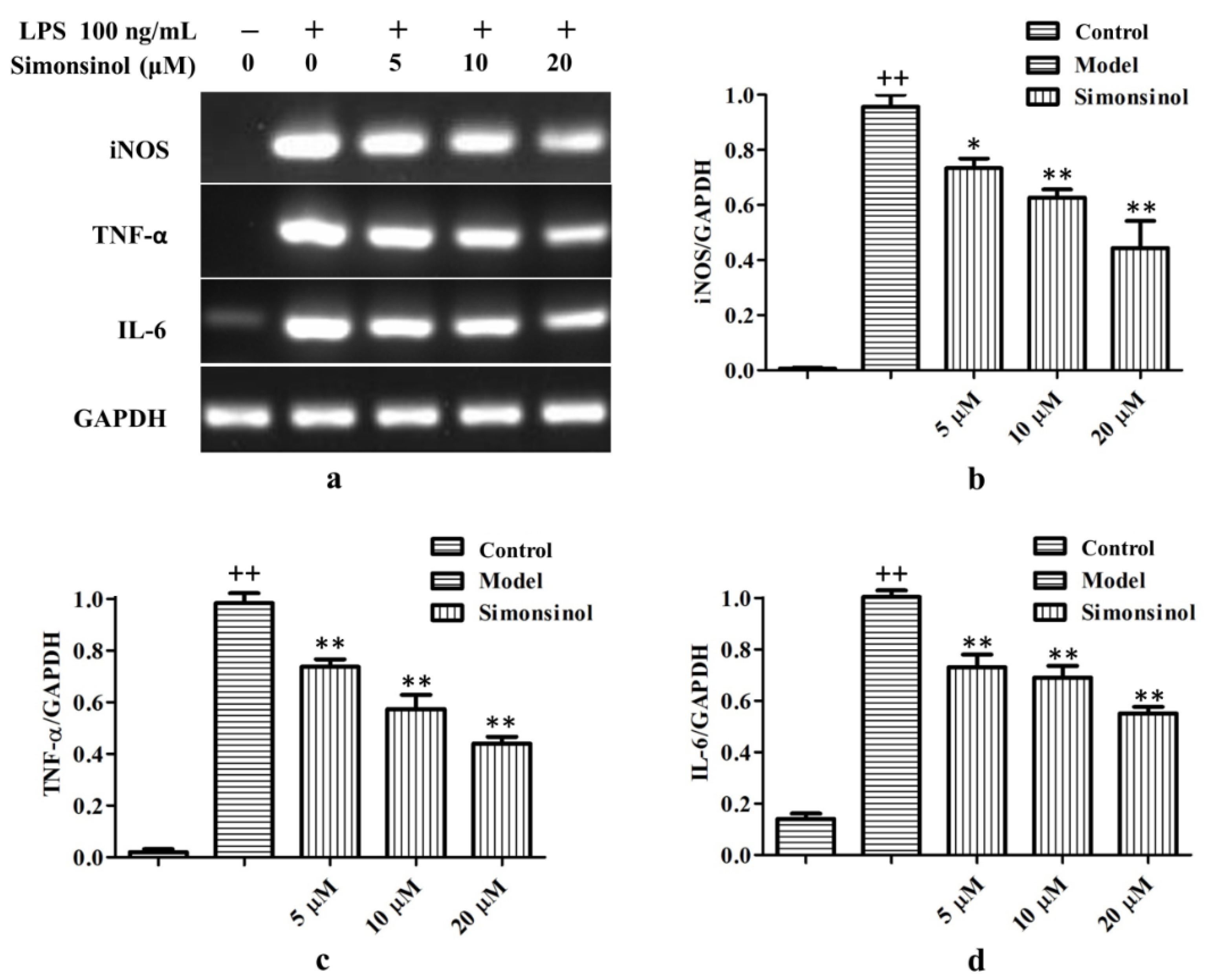 Molecules 25 03573 g005