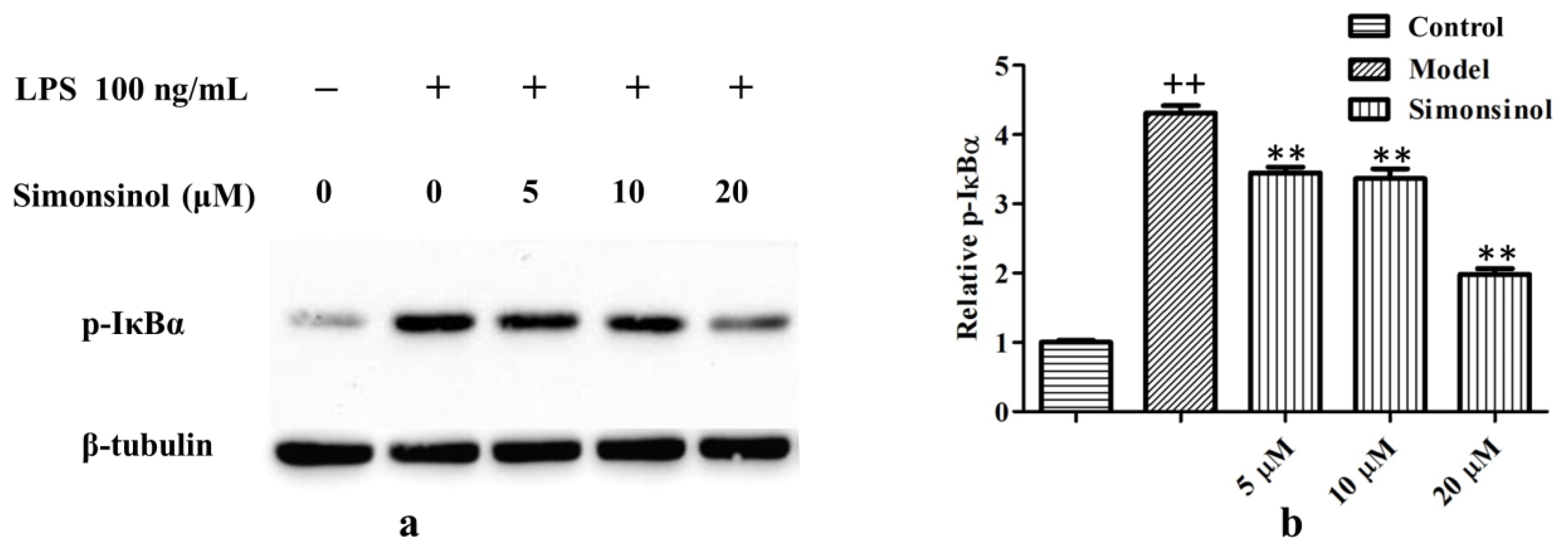 Molecules 25 03573 g006