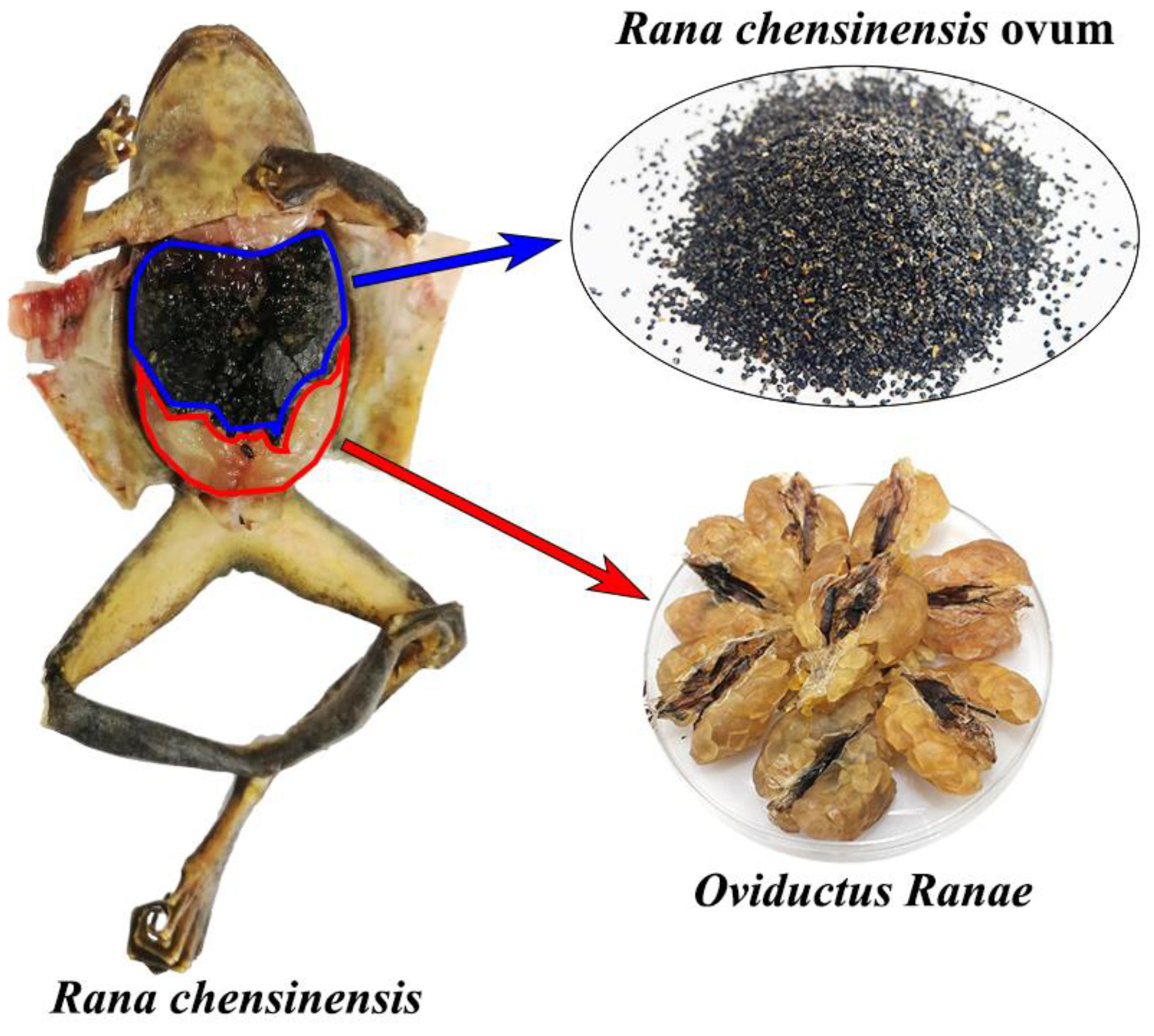Molecules 25 04170 g001