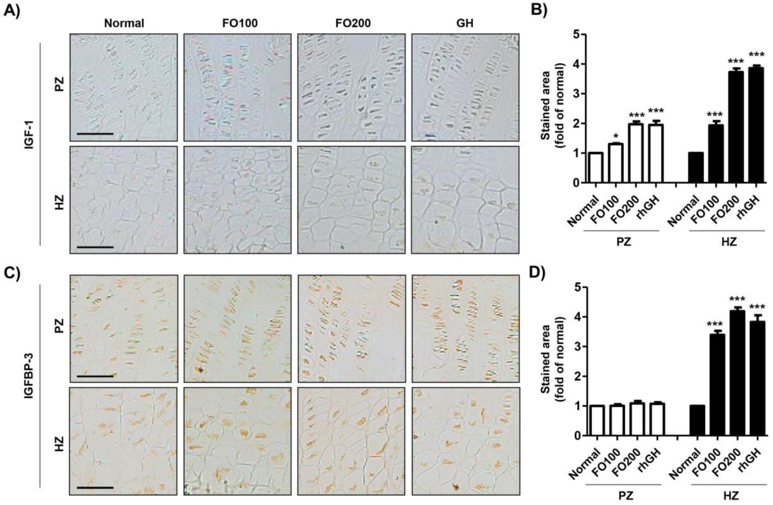 Molecules 25 04375 g005