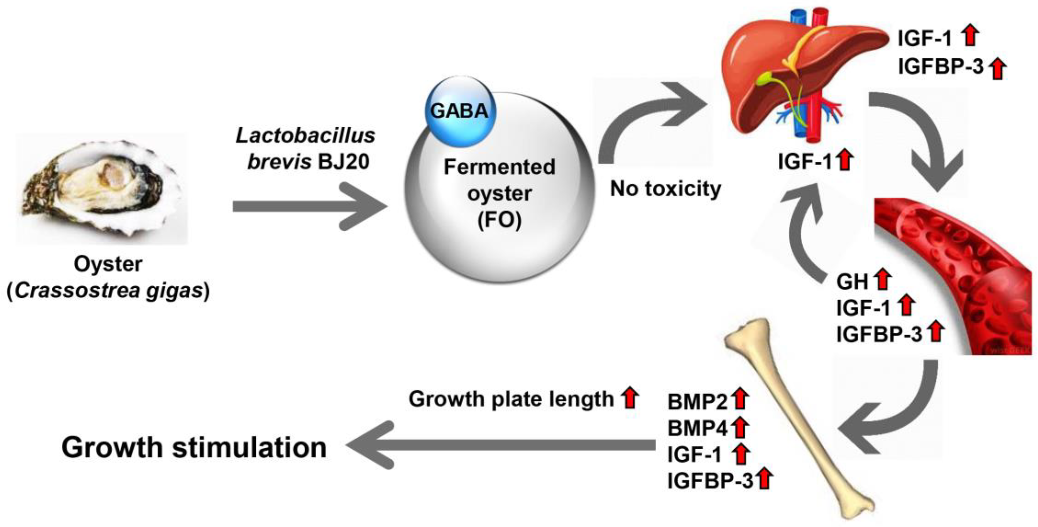 Molecules 25 04375 g006