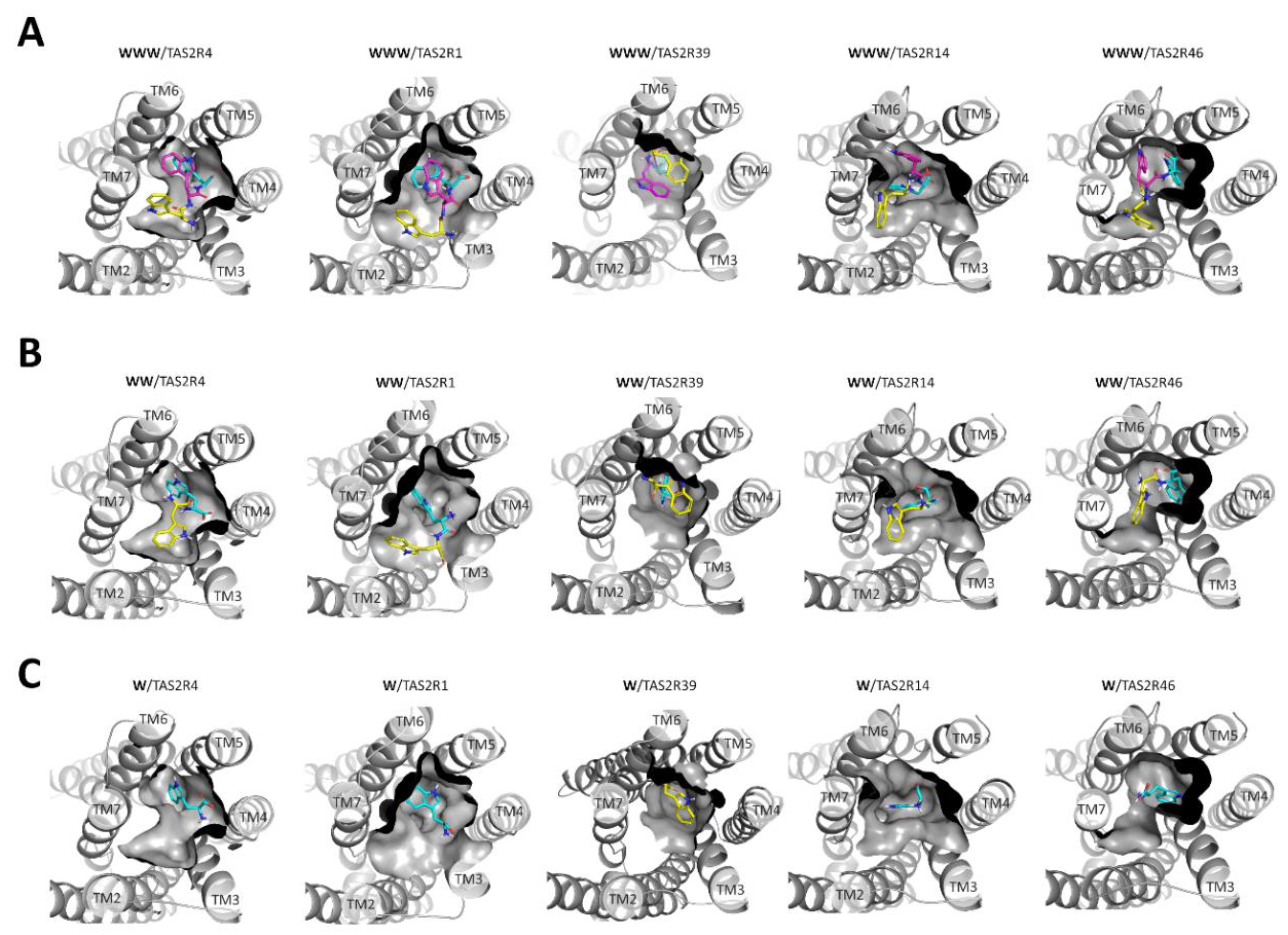Molecules 25 04623 g001