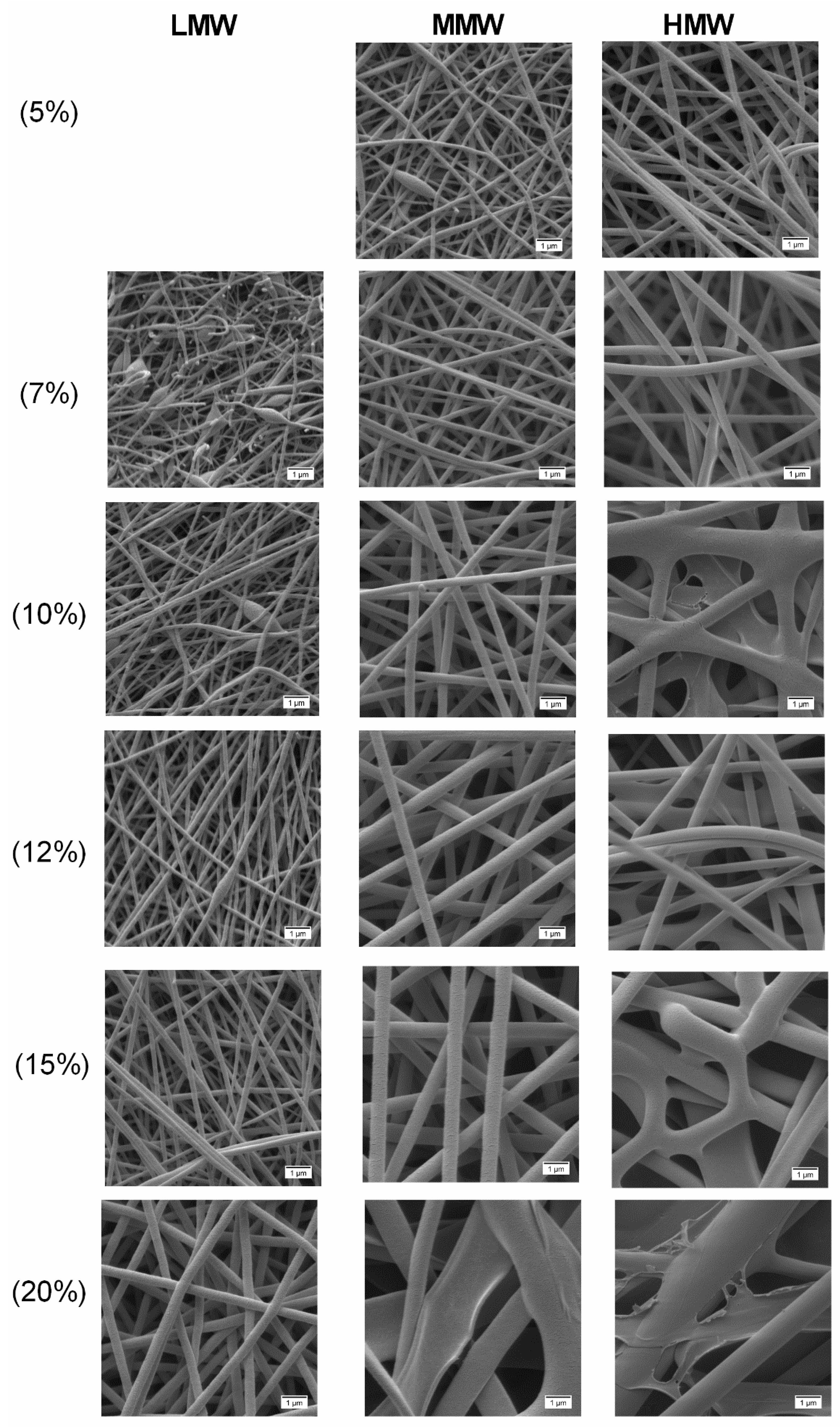 Molecules 25 04799 g005