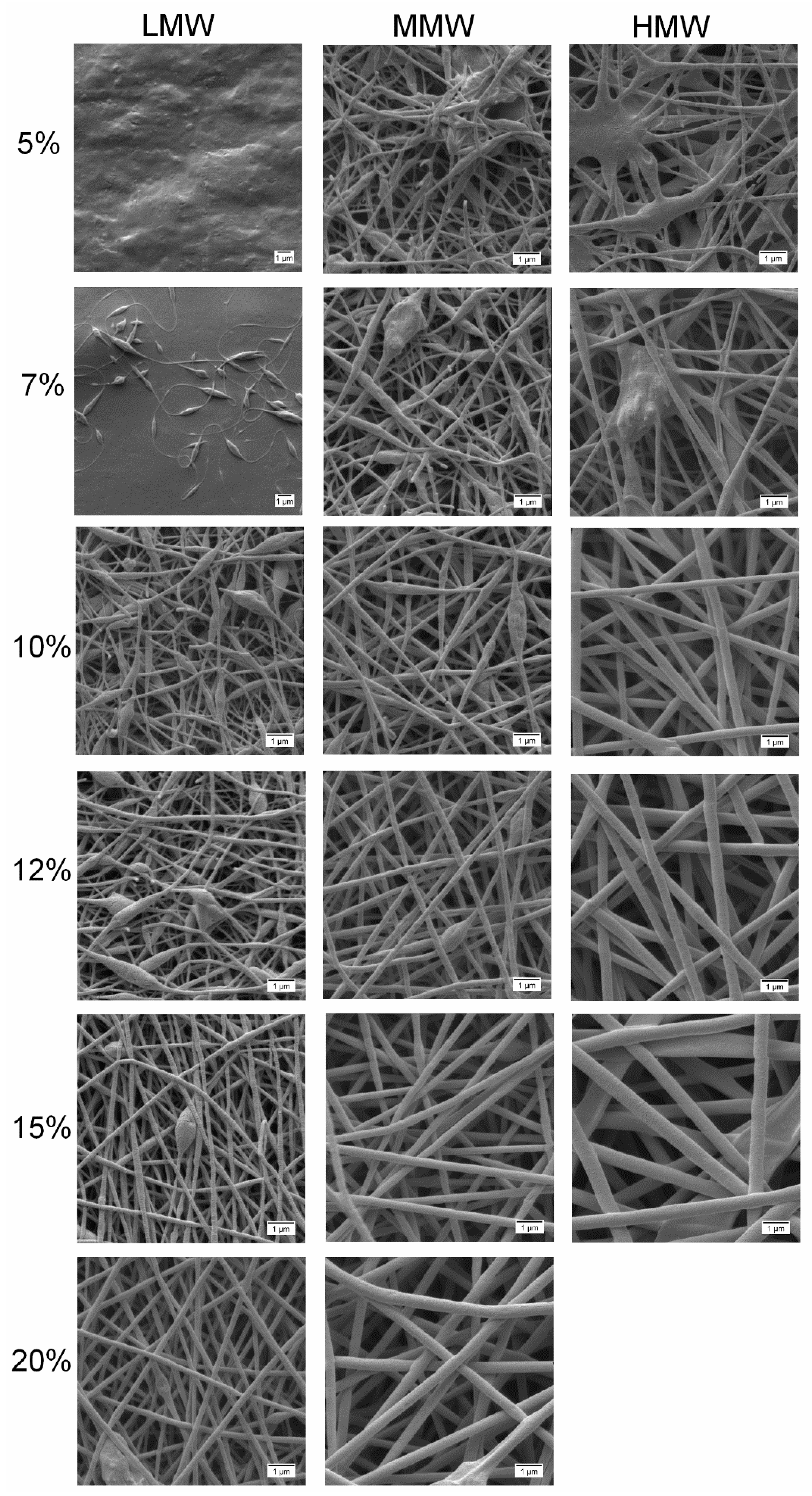 Molecules 25 04799 g006
